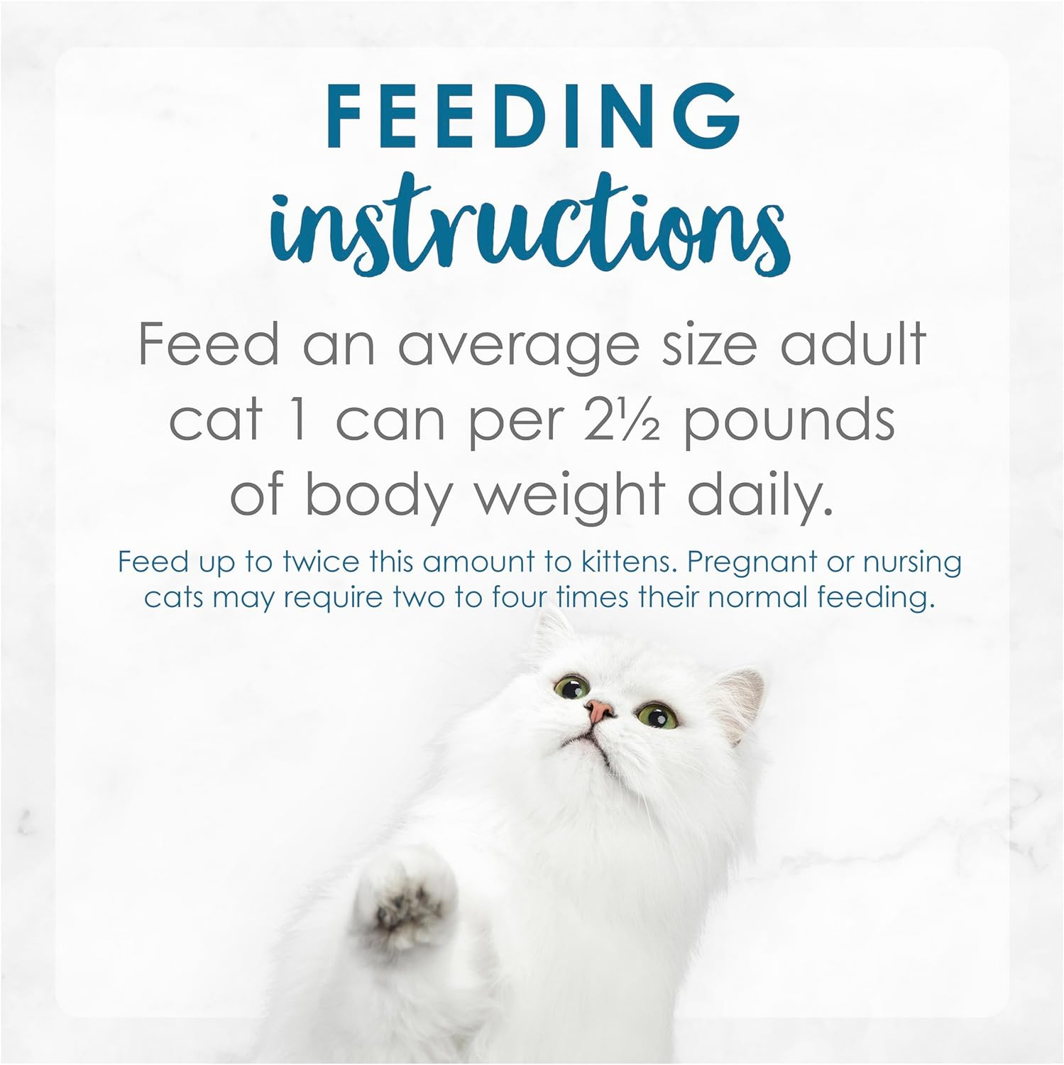 FANCY FEAST Adult Grilled Ocean Whitefish and Tuna in Gravy Wet Cat Food 24X85G image number 6