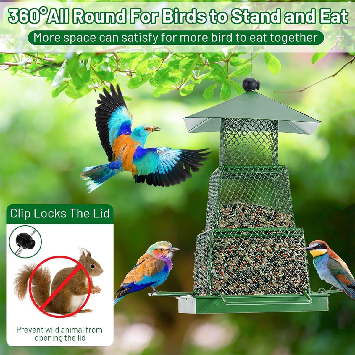 AIMALL Robust All-Season Automatic Bird Feeder with Easy Refill Design, Suitable for Various Outdoor Environments image number 3
