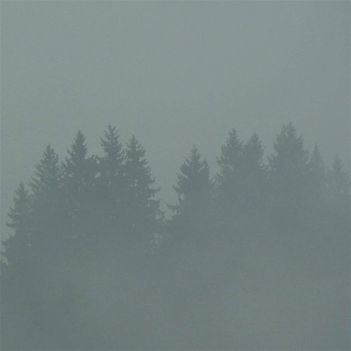 Donnerwetter (1LP)