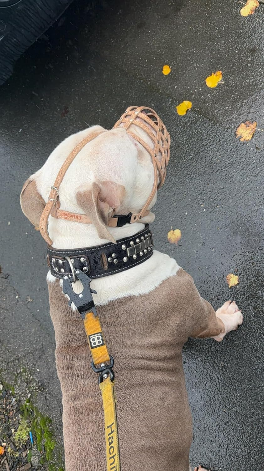 Genuine Leather Dog Muzzle for American Bully, Bully XL and Other Similar Snout (Brown Leather, AB4) image number 2