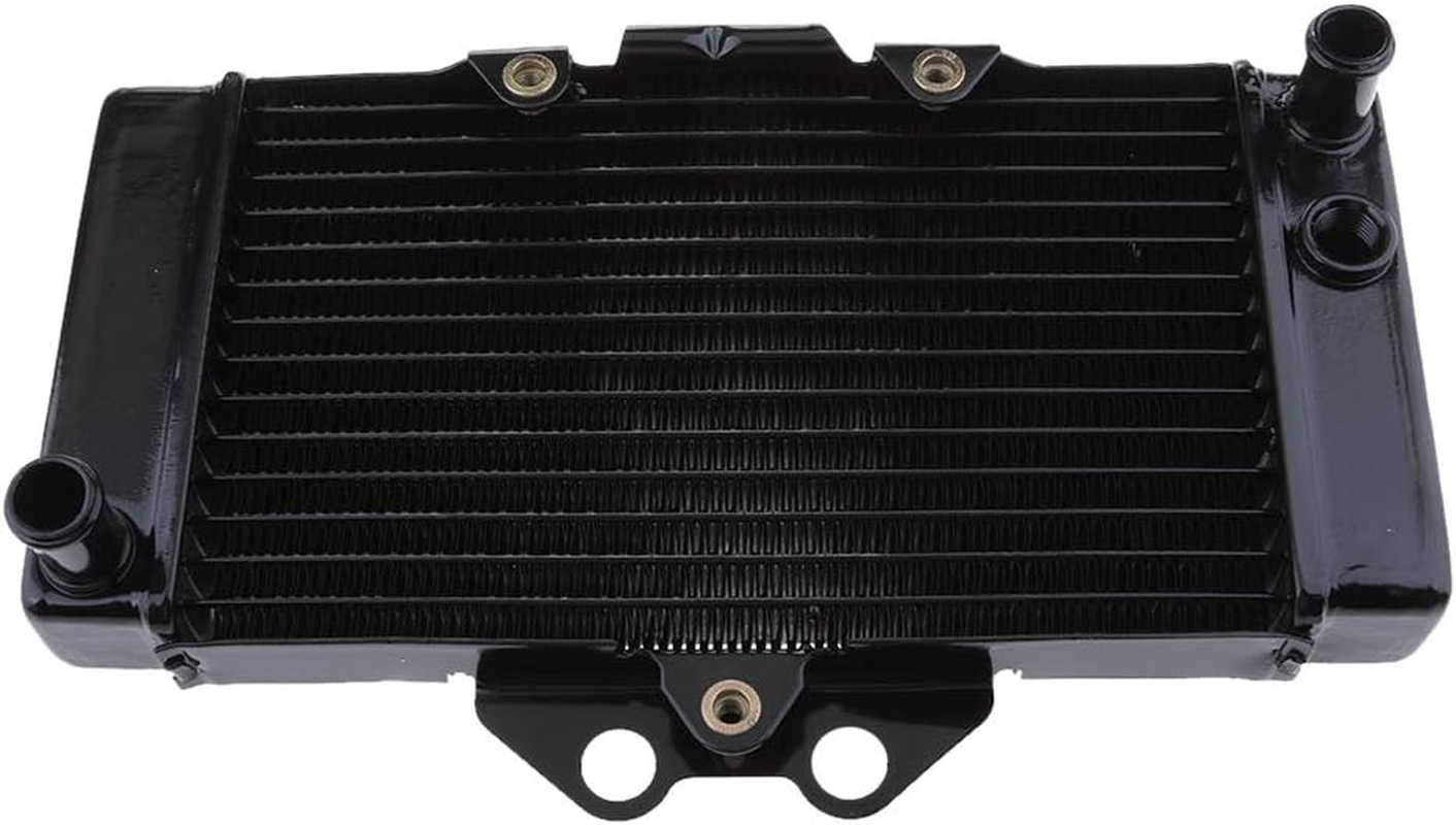 OEM Motorcycle Cooling Cooler Radiator Fit for VTR250 2005 2006 2007 image number 6