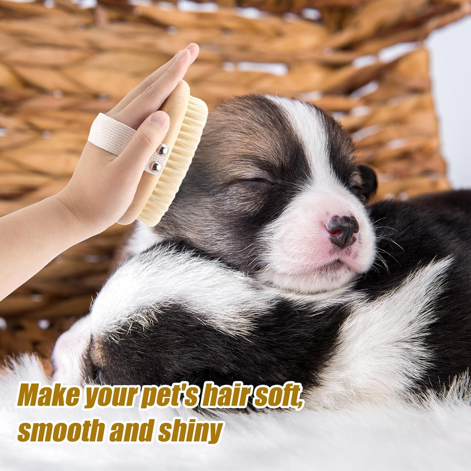 Bristle Pet Brush Wooden Pet Groom Brush,1Pc Soft Boar Bristle Pet Palm Brush,Pet Palm Brush with Bristle,Soft Wood Boar Bristle Pet Palm Brush with Band,Bristle Pet Brush Pet Palm Brush with Bristle image number 2