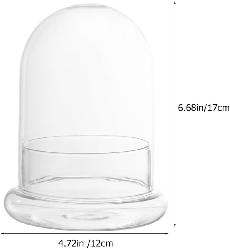 Glass Terrarium Cloche Clear Glass Dome Micro Landscaping Container, Ecological Bottle Display Case for Plants Succulents Moss image number 2