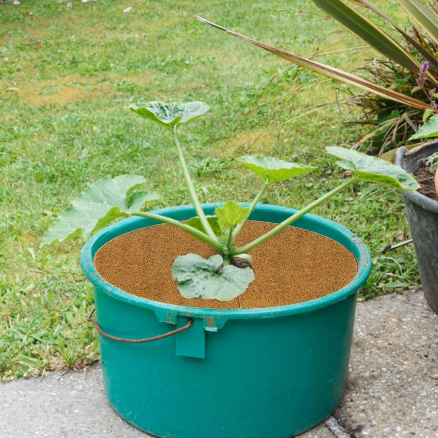 Palm Fiber Disc Mat, Coconut Mat, 10 Pieces, Coconut Liner, Plant Pot, Fiber Liner, Coconut Liner Ring, Reduces Moisture Evaporation, Prevents Drying, Suppresses Weed Growth, Reduces Temperature,