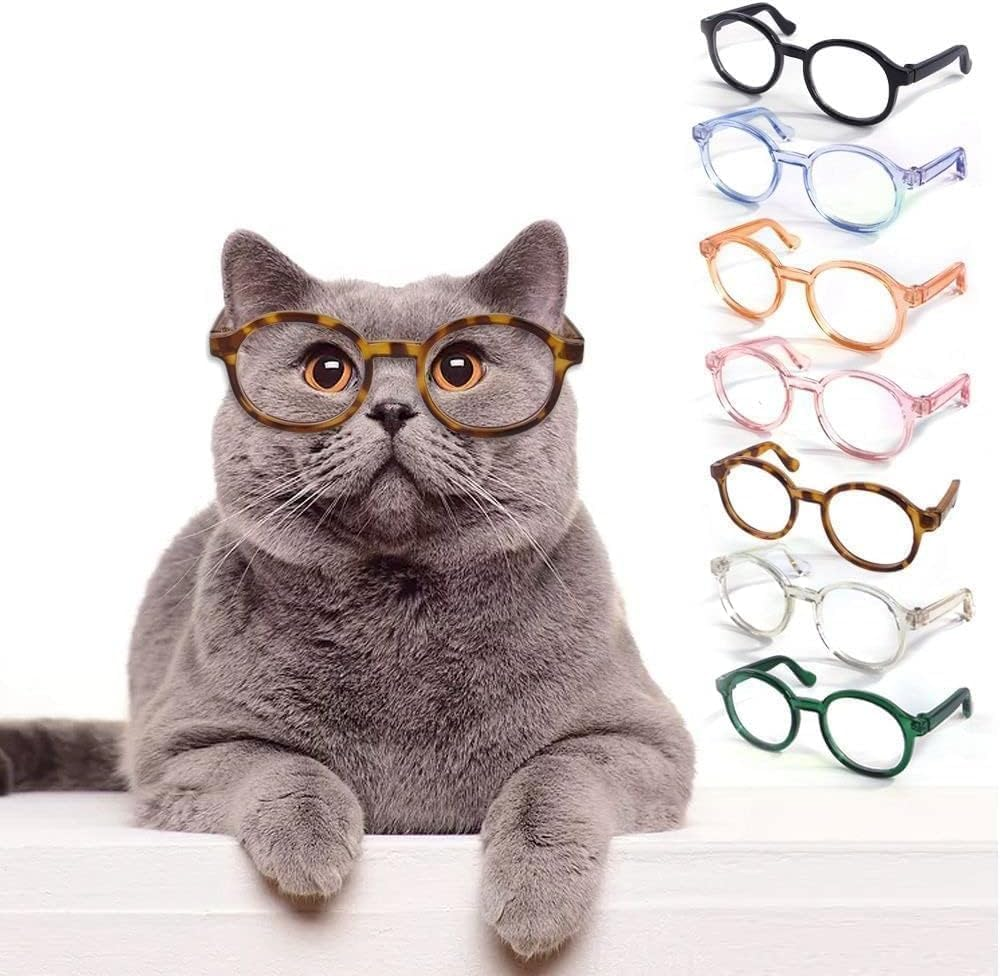 2Pcs Nerd Glasses, Black Pet Dog Cute Glasses Clear Lens Retro Glasses Photo Props Transparent Cat Sun Glasses for Small Dogs Cats Cosplay Costume image number 5