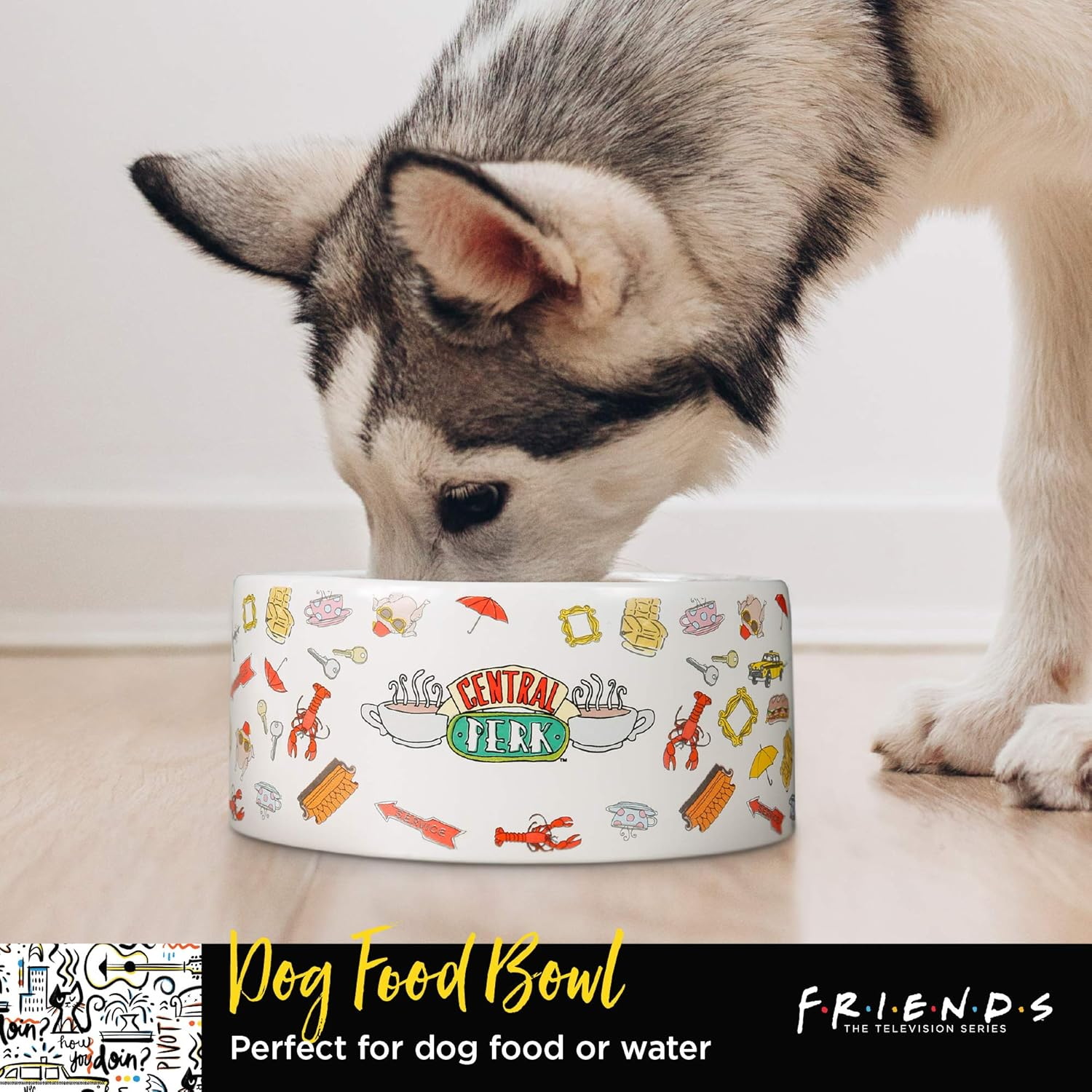 Warner Bros Friends TV Show Joey Doesn'T Share Food Ceramic Dog Food Bowl, 6 in | White Dog Bowl, Friends TV Merchandise for Friends Fans | Dog Water Bowl or Dog Food Bowl for Wet or Dry Food image number 3