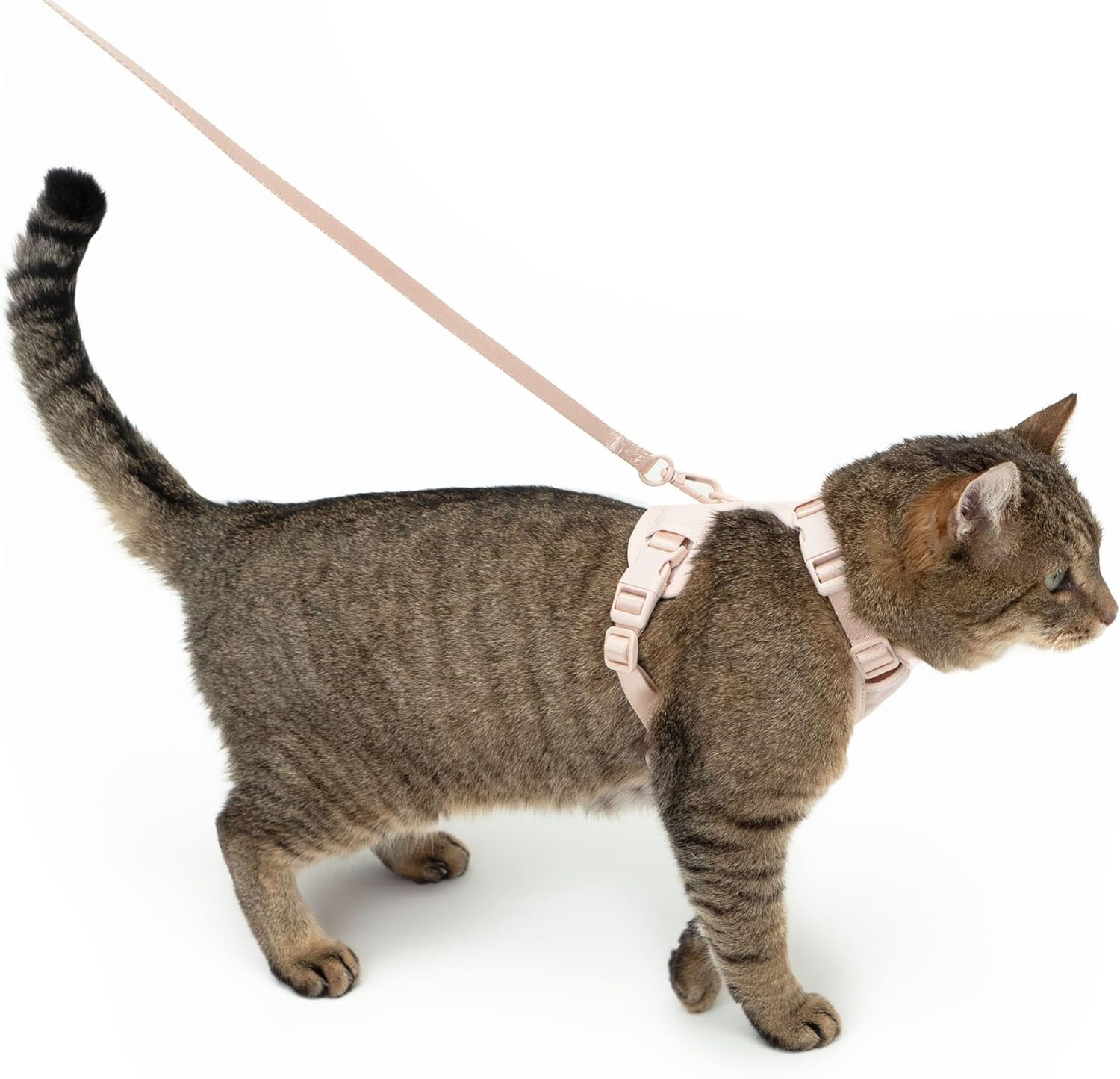 Lucybalu Hello Kitty Explorer Cat Harness with Lead, Escape Proof, Airtag Compartment, Lightweight & Comfortable, M/L, Pink image number 3