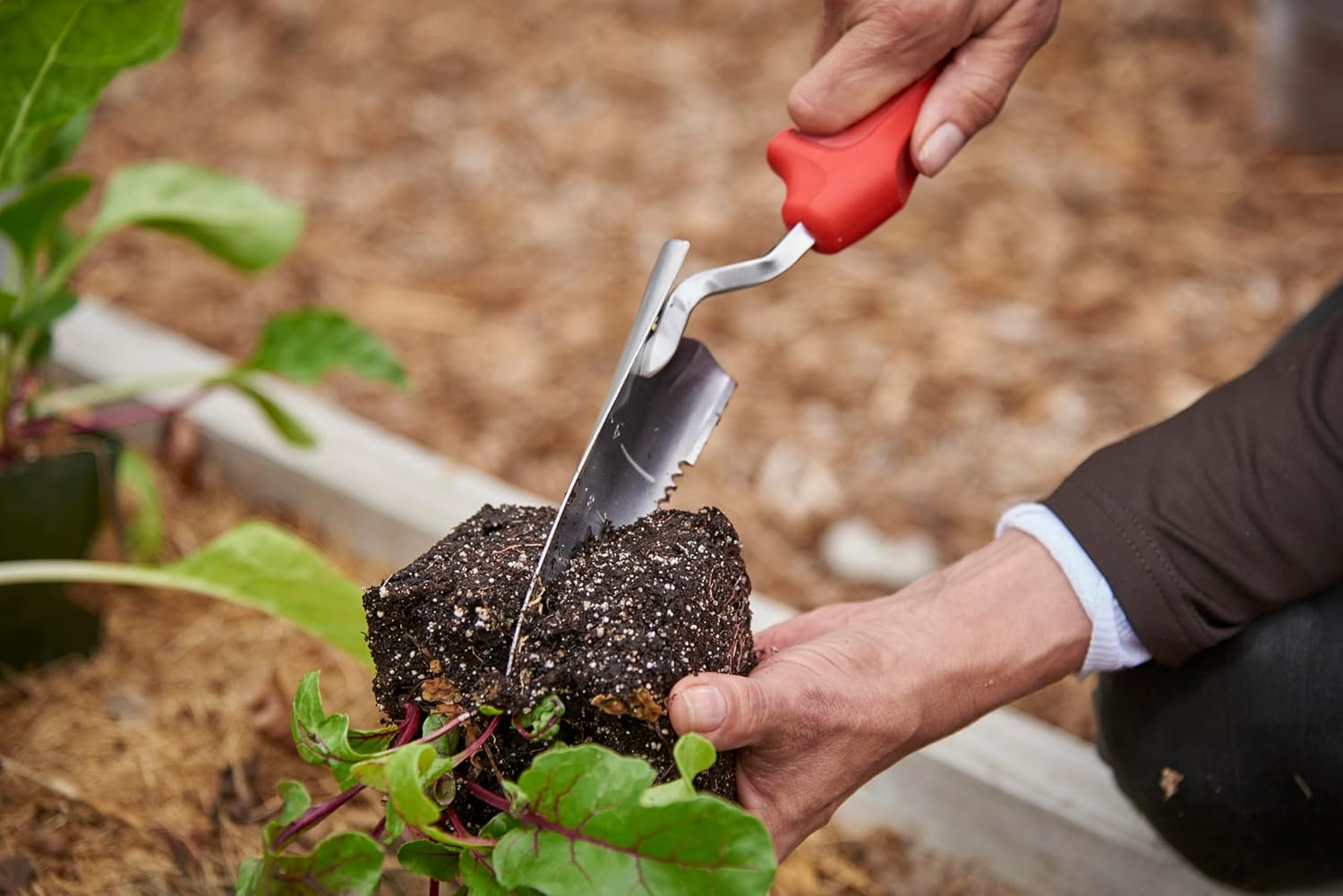 Corona K & S Precision Metals Stainless Steel Comfortgel Transplanter, Red image number 5