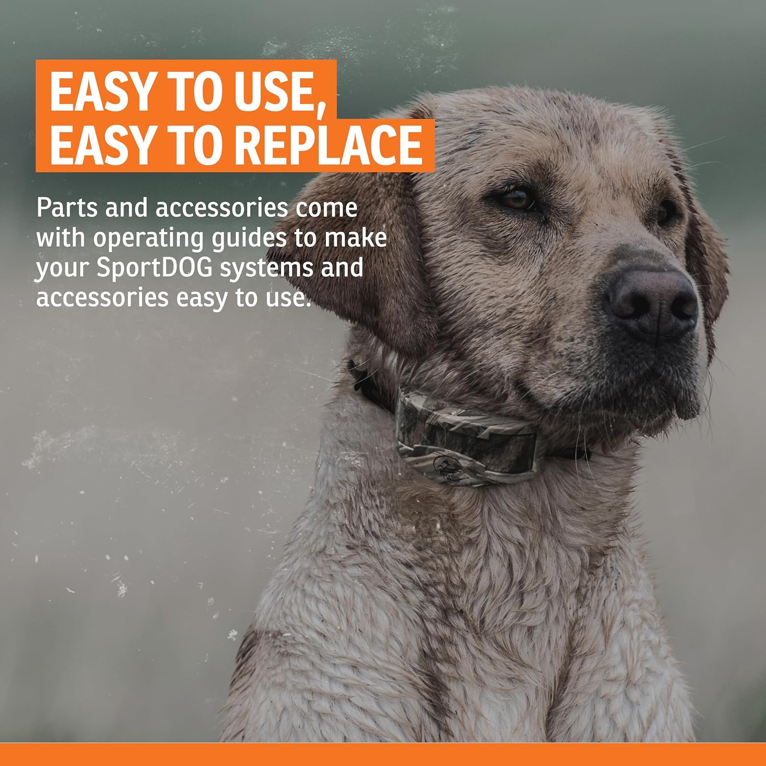 Sportdog Brand Short Contact Points - 1/2 Inch Replacement Probes E-Collars - Standard Length image number 3