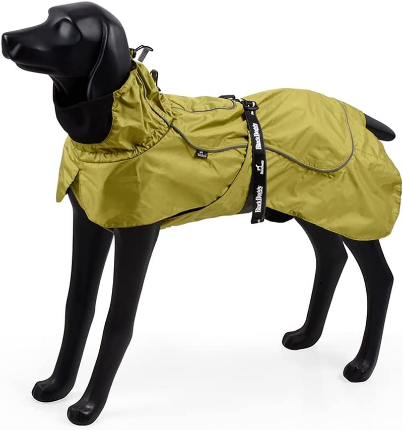 Blackdoggy Waterproof Dog Raincoat with Reflective Trim & Adjustable Belt - Lightweight Outdoor Jacket for Dogs, Easy Clean Design (Medium, Green)