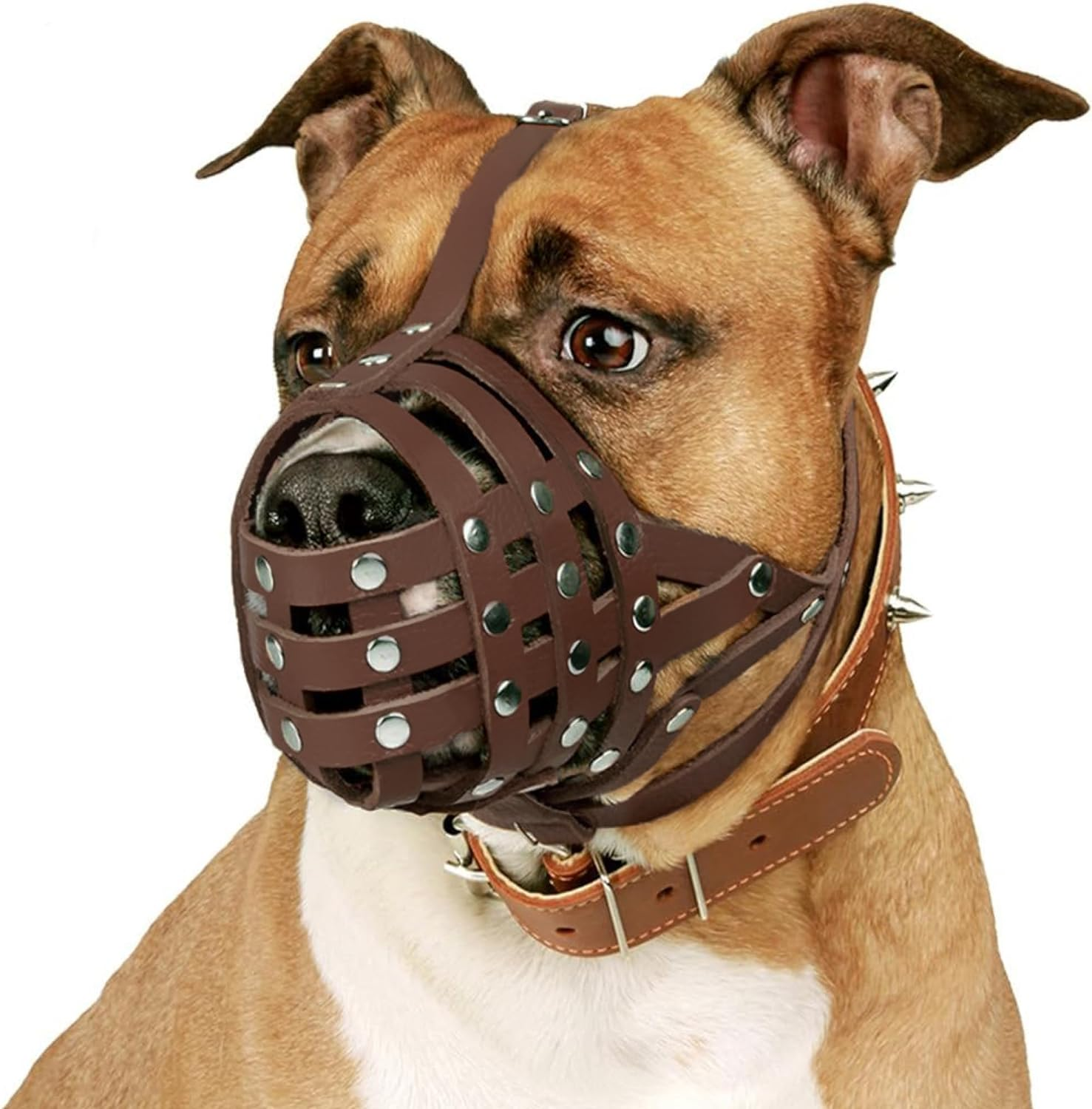 Collardirect Pitbull Dog Muzzle Leather Amstaff Muzzles Staffordshire Terrier Secure Basket (Brown) image number 5
