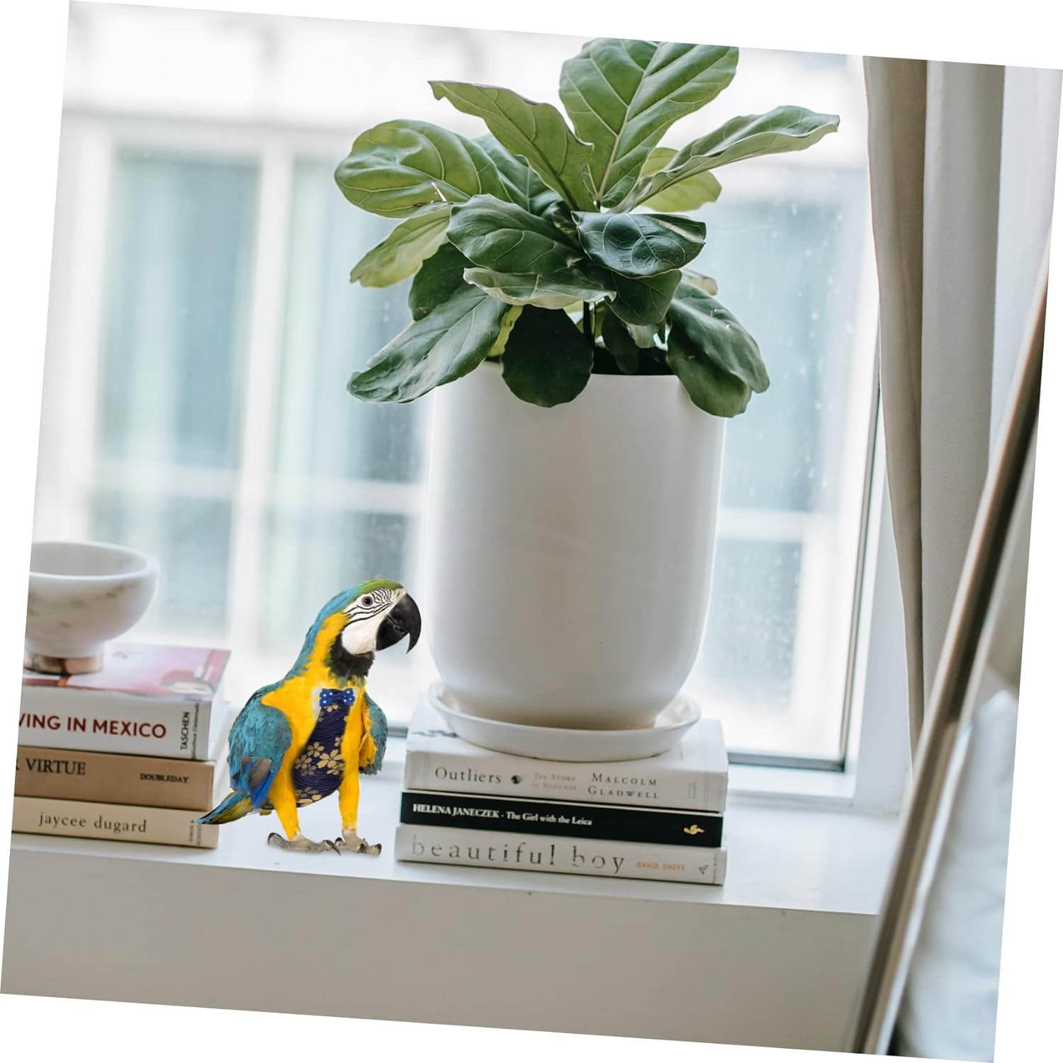 2Pcs Parrot Flight Suit Breathable Birds Diaper for Pet Parrot Diaper Pet Bird Supplies image number 1