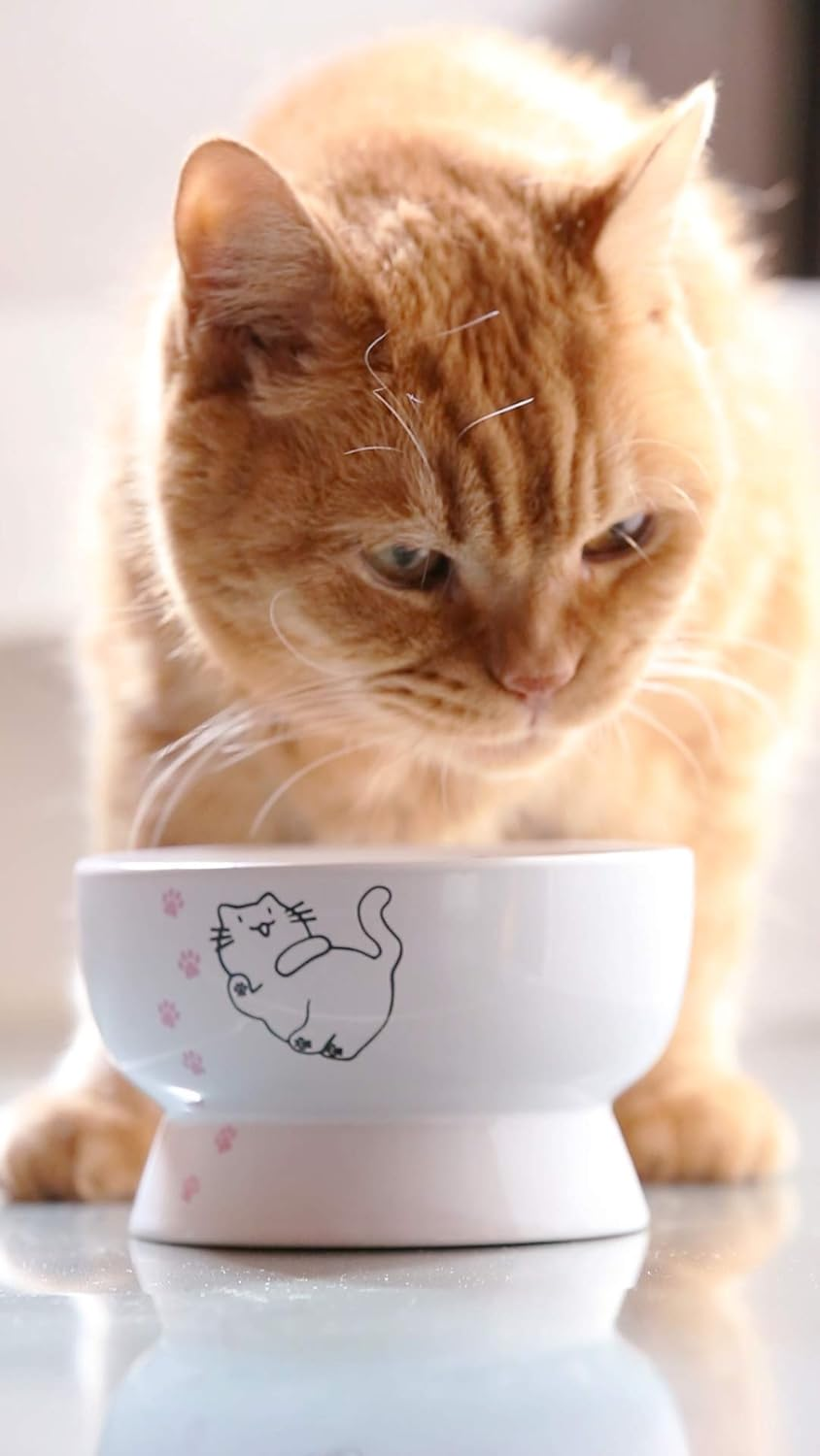 Raised Cat Water Bowl,Elevated, Porcelain Made, Pet Supplies, Backflow Prevention, Stress Free, Safety Choice for Your Pet, Superior for Drinking Water image number 1