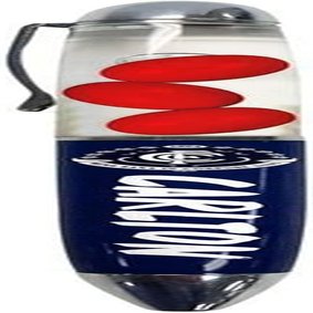 Carlton Blues AFL Floating Footballs Pen