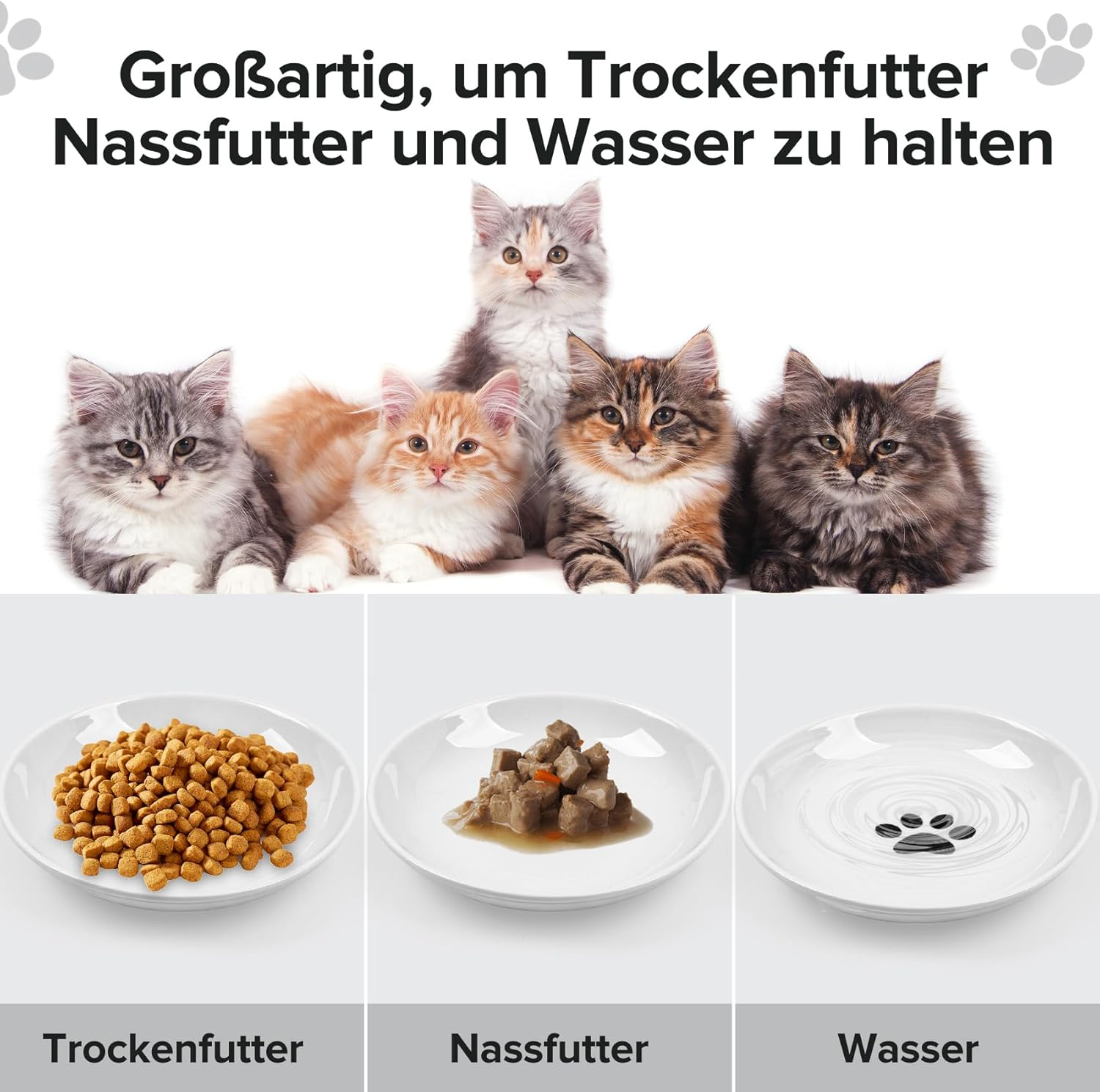 Cat Feeding Bowl Set, Non-Slip Silicone Ceramic Cat Feeding Bowl, Ceramic Cat Bowl for Kittens, Pack of 6