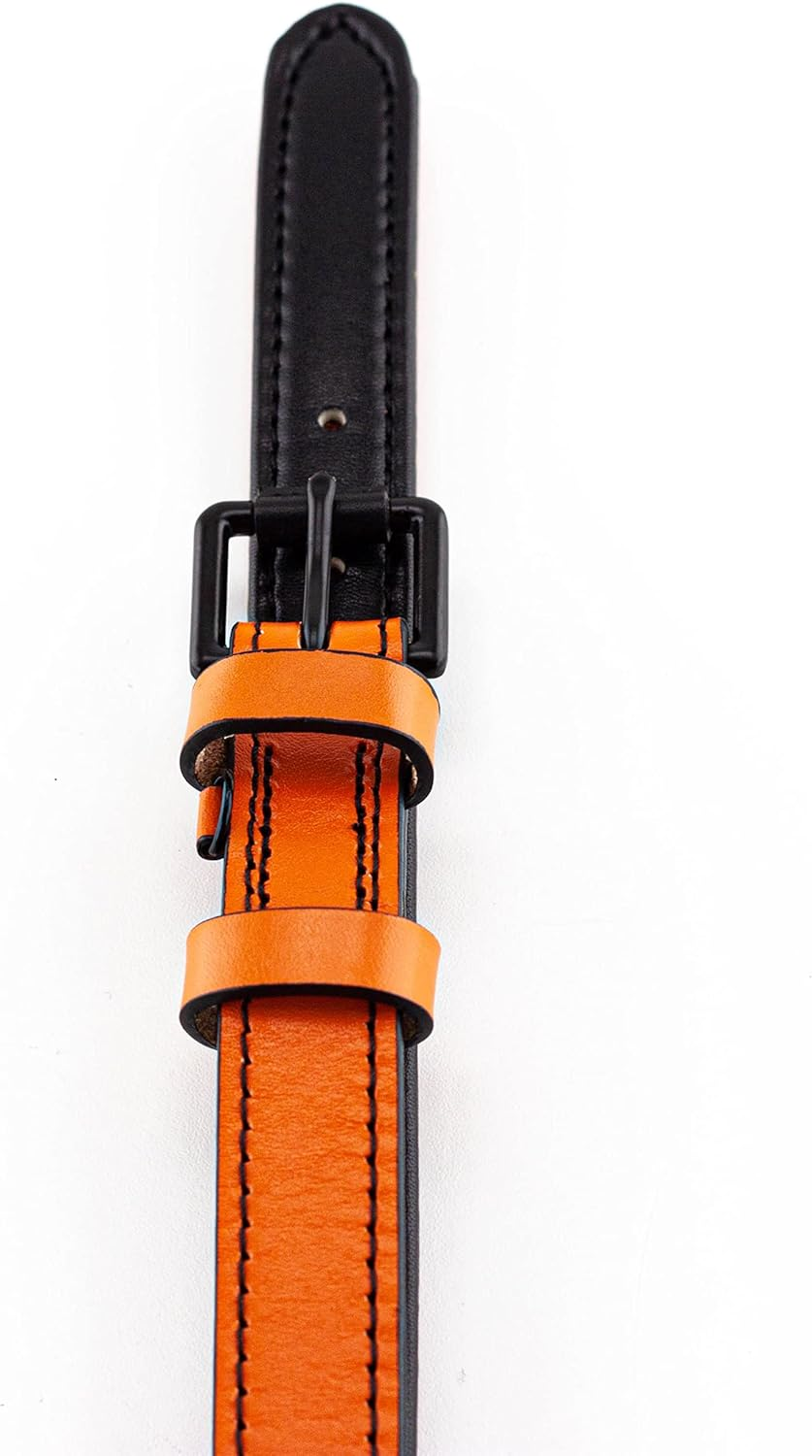 Brute Strength - Leather Dog Collar - Orange - M - Fits 14 3/16" and 16 15/16" Neck - Dog Tag Ring - Full Grain Heavy Duty - Soft Padded - Handmade - Dog Collar for Medium Dogs image number 6