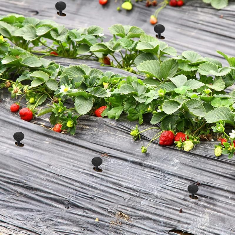 200X Grass Pegs Lawn Turf Weed Mat Plastic Pins Stakes Anchor Lawn Sod Fasten, 11Cm Black Plastic Stakes, Ideal for Garden and Turf Fastening