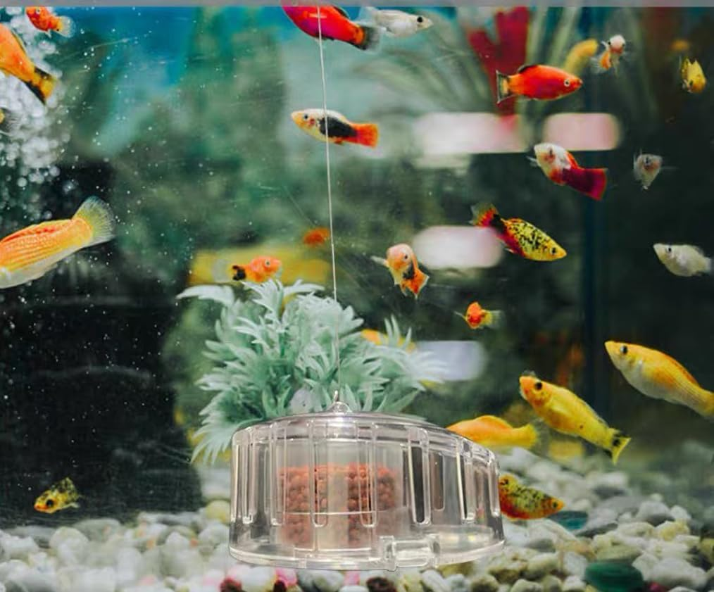 Transparent Snail Catcher, Planaria Trap, Plastic Aquarium Snail Trap for Aquarium Fish Tank image number 1