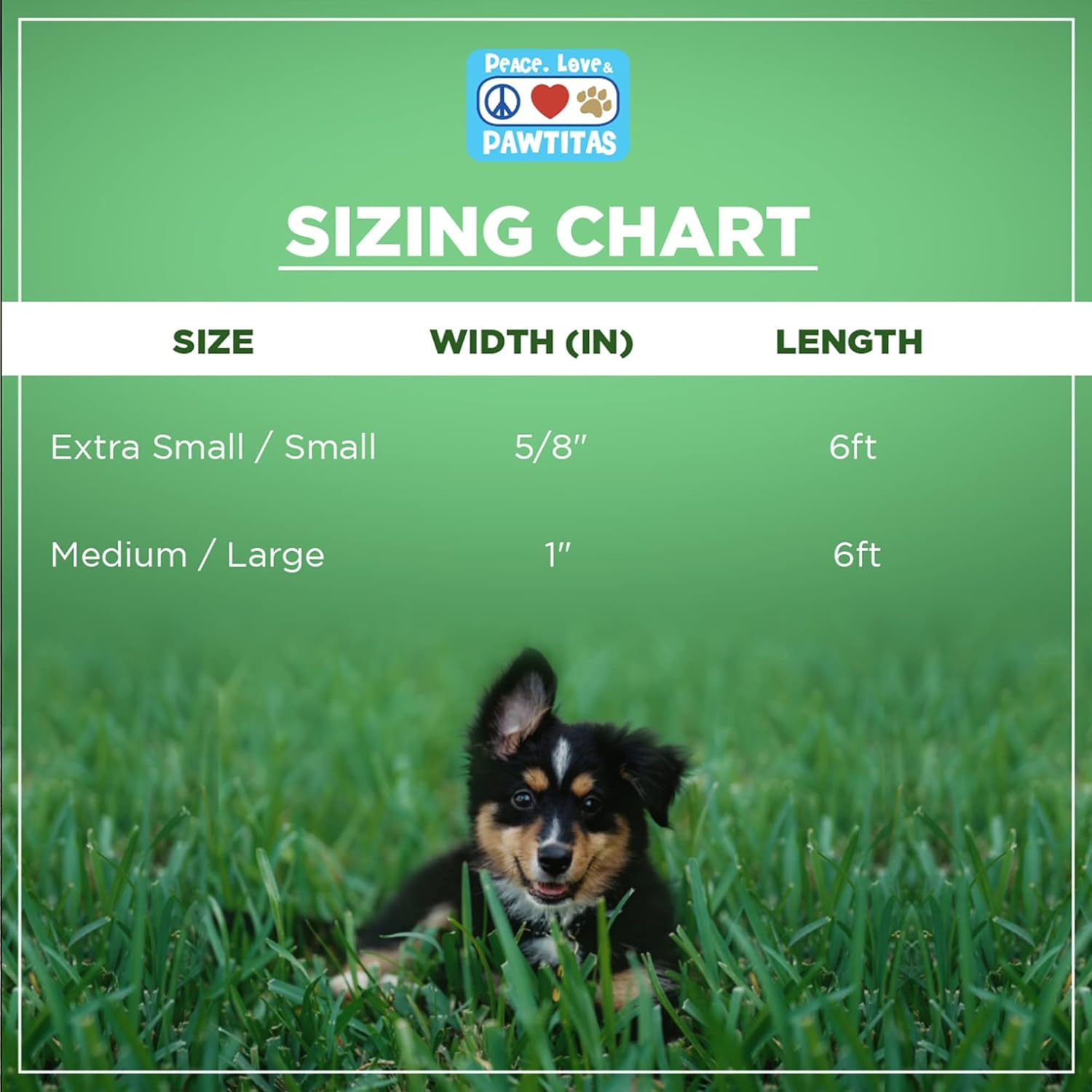 Pawtitas 6 FT Recycled Dog Leash with Reflective Stitched Thread Stitched on Side| Medium Reflective Dog Leash Made from Plastic Bottles Collected from Oceans &ndash; Coral 6 Ft Dog Leash image number 2