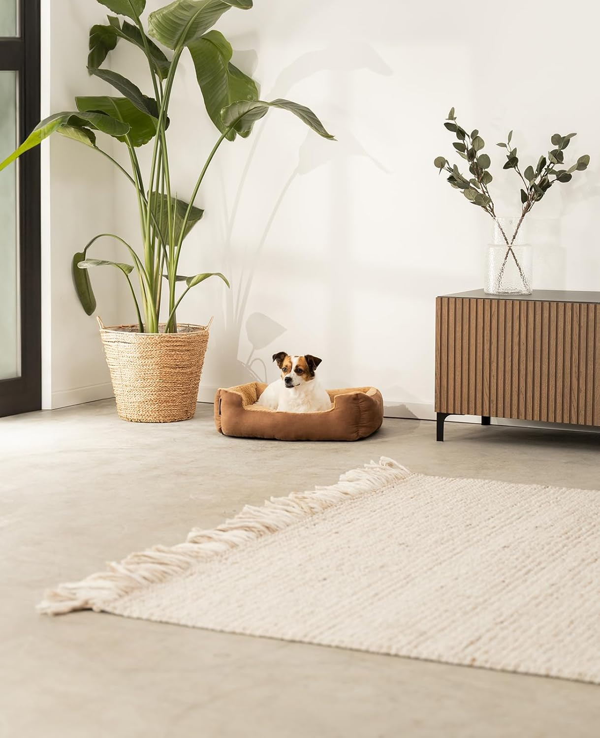 Dibea &ndash; Dog Bed &ndash; Dog Cushion &ndash; Dog Bed with Reversible Cushion (Choice of Size and Colour) image number 5