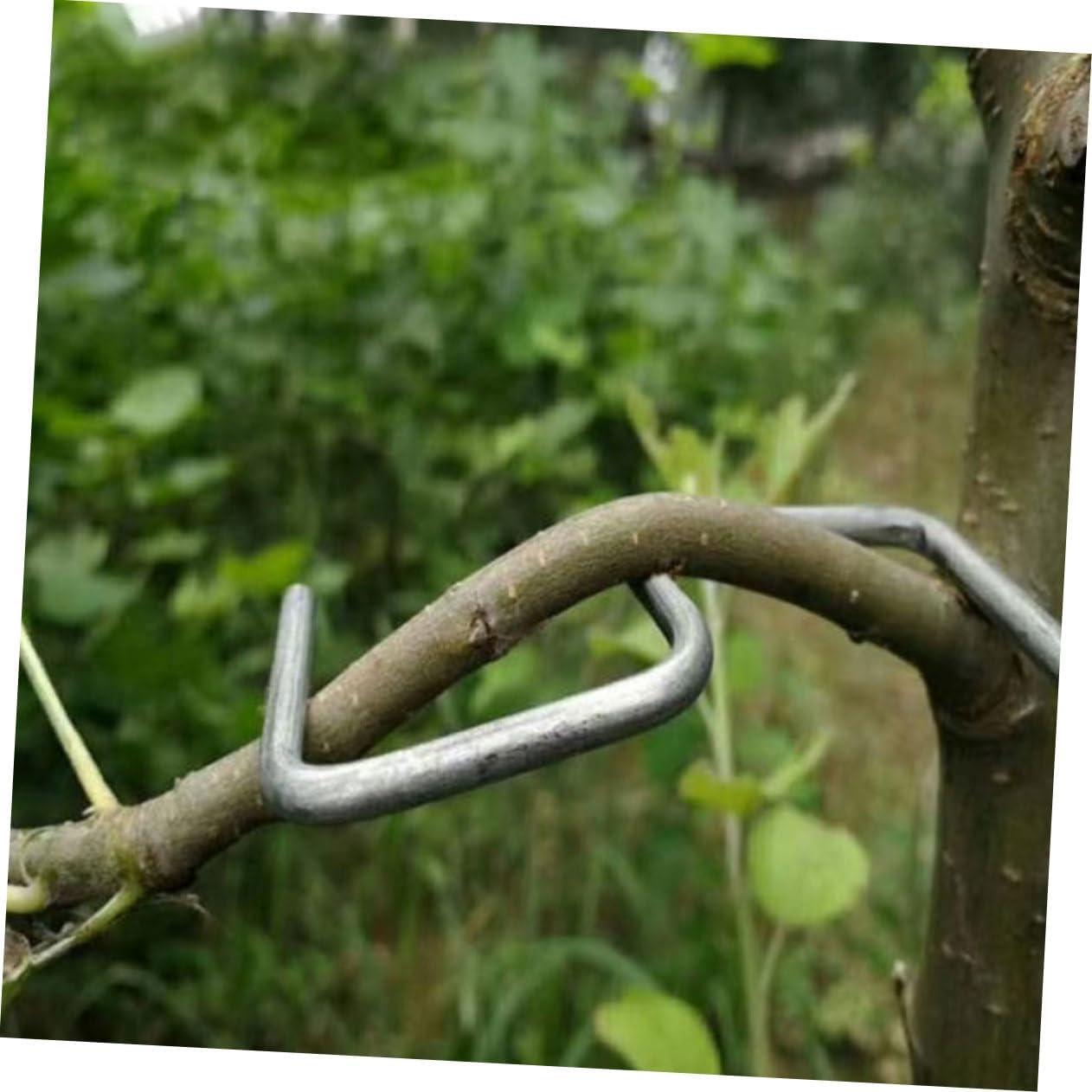 VINTORKY Tree Trunk Moderator Branch Bending Fixing Tool Fruit Branch Puller Plant Supplies Tie Stick Shaper image number 3