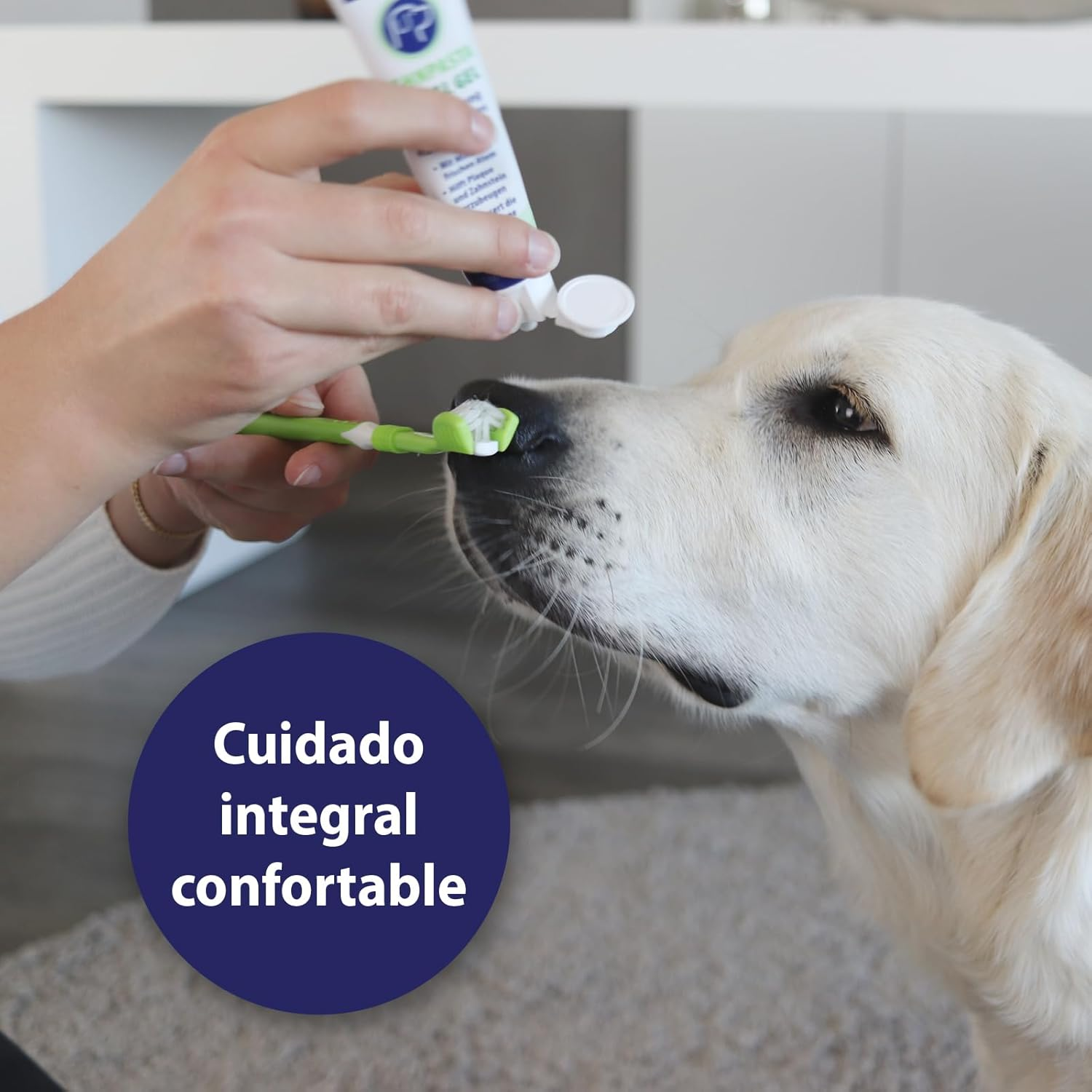 Canosept Dog Dental Care Kit (3 Pieces) - Dog Toothbrush and Toothpaste - Finger Brush - Teeth Cleaning Kit - Plaque Remover - Breath Freshener image number 4