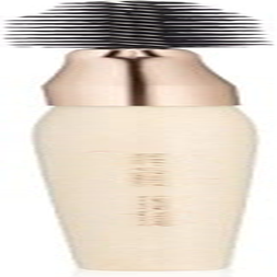 Jane Iredale the Handi Brush