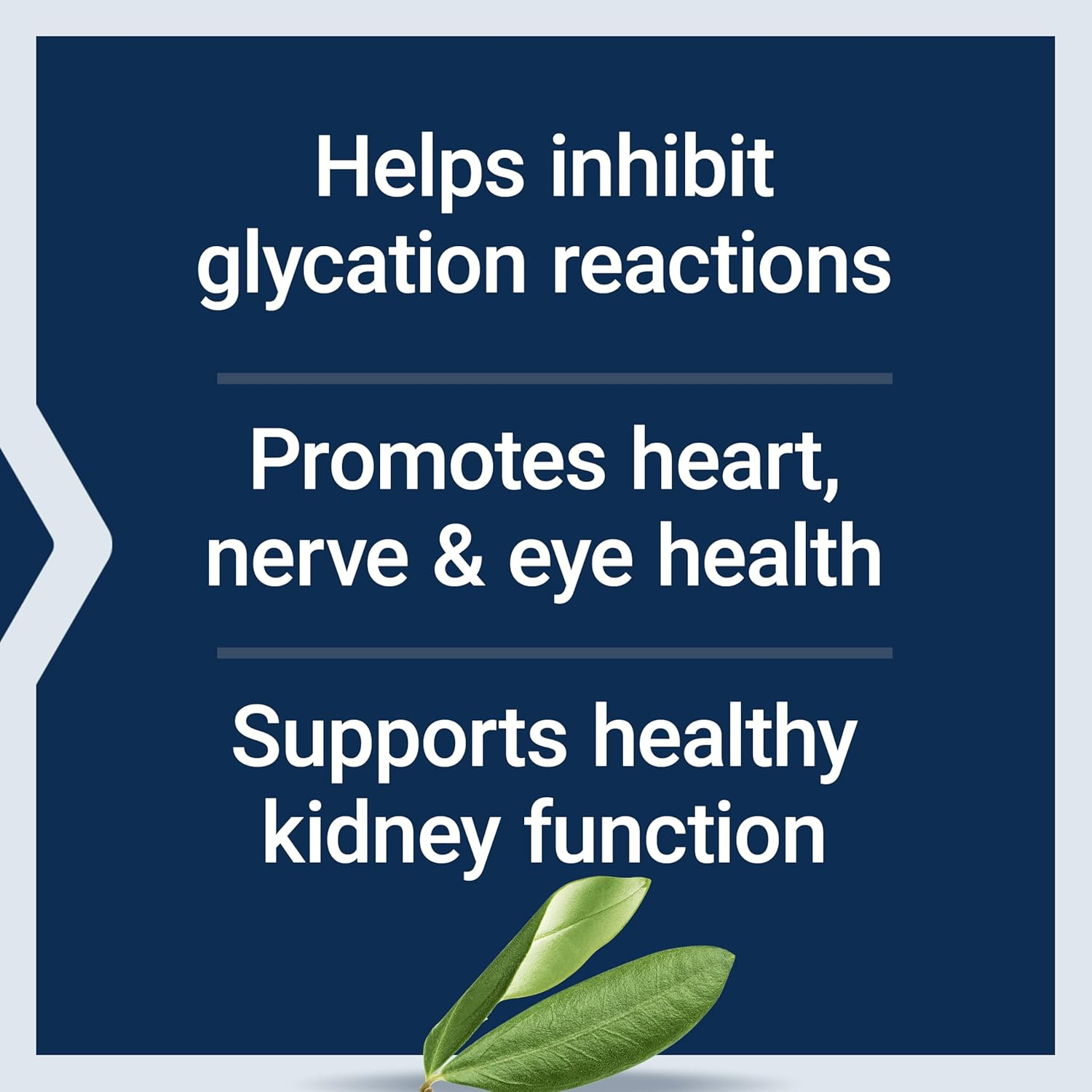 Life Extension Vitamin B6 250 Mg, 100 V Caps image number 2