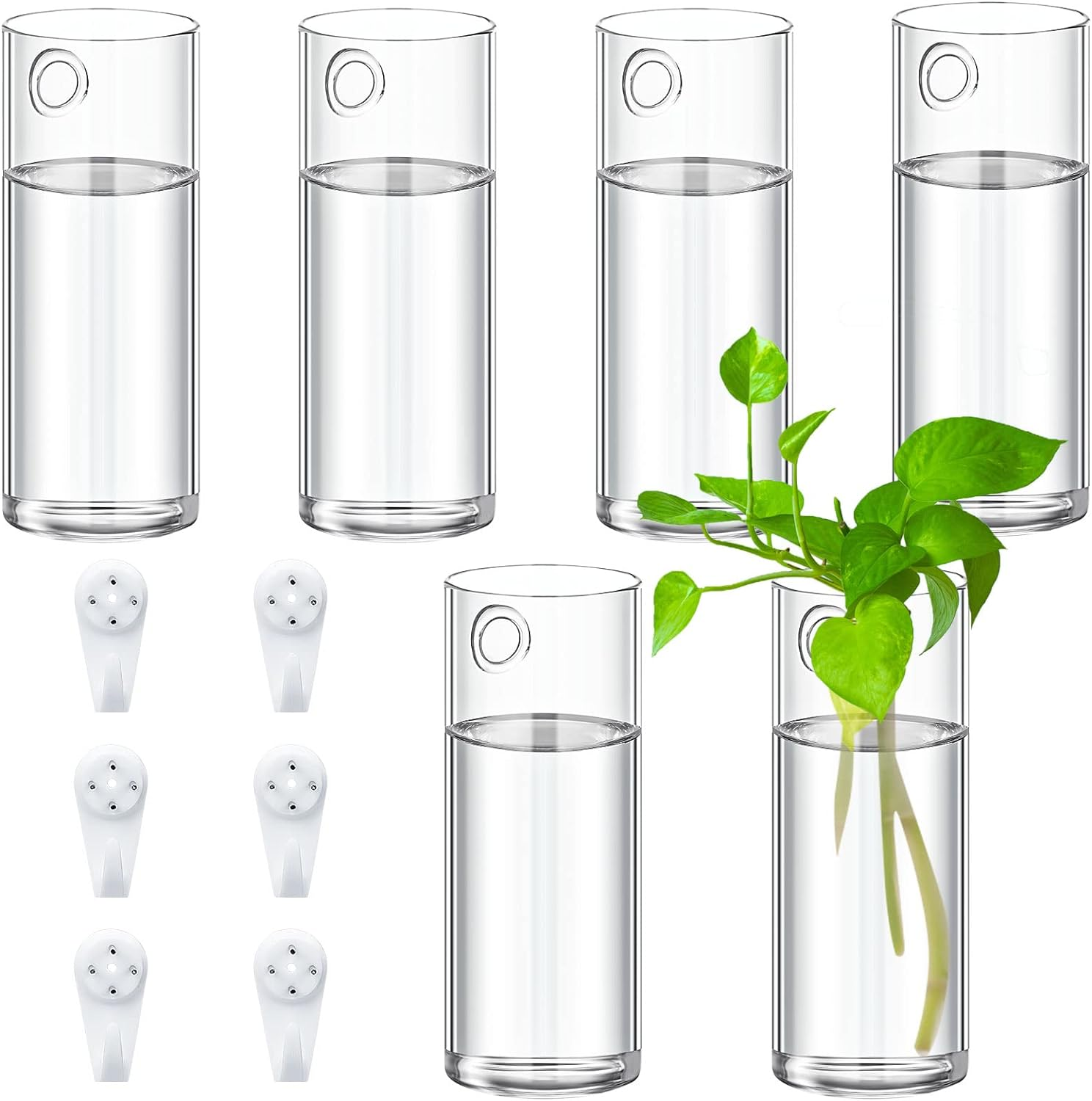Baderke 6 Pcs Glass Wall Vase for Plants Indoor Hanging Propagation Planter Container Holder with Plastic Invisible Traceless Hangers Hydroponic Plant Succulent Garden Wedding Decor image number 4