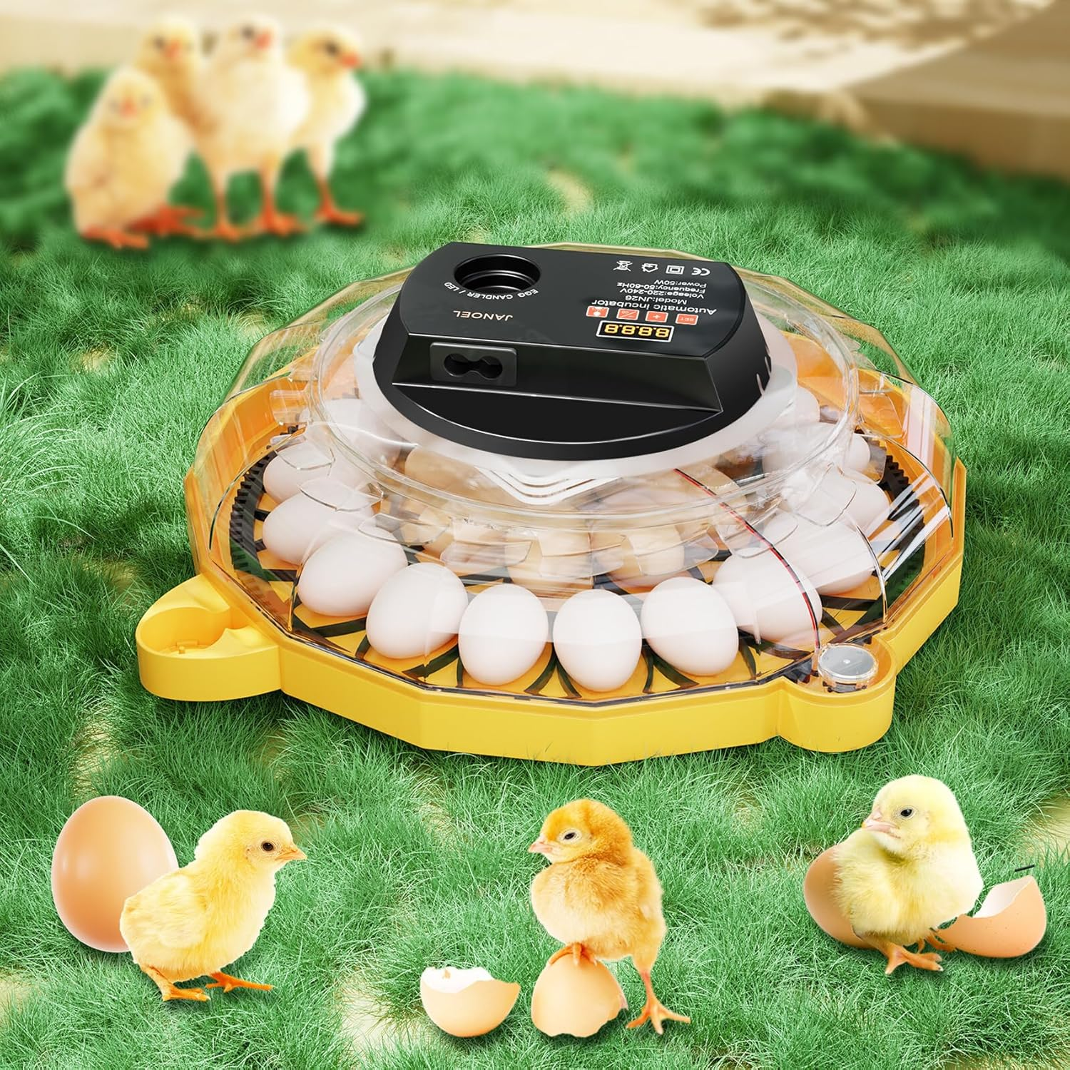 AUTENS 26 Egg Automatic Incubator for Chicken Duck Quail Goose Eggs - Digital Thermostat Humidity Control, Auto Egg Turning & LED Candler, Clear View Window, Overheat Protection image number 2