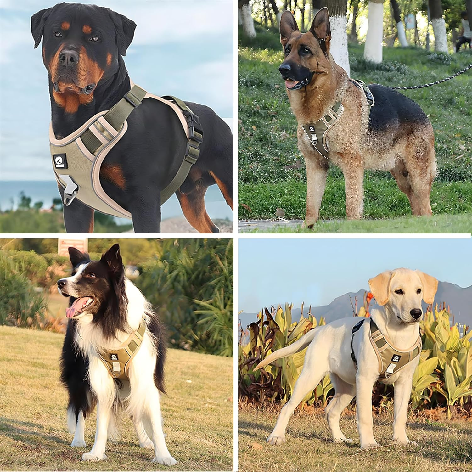 Checkzed Dog Harness for Large Dogs, Adjustable Dog Vest Style Pet Leash with Padded Handle, Reflective Strips for Large Dogs &ndash; Ideal Dog Walking Vest and Pet Outdoor Safety Gear (L, Khaki) image number 1