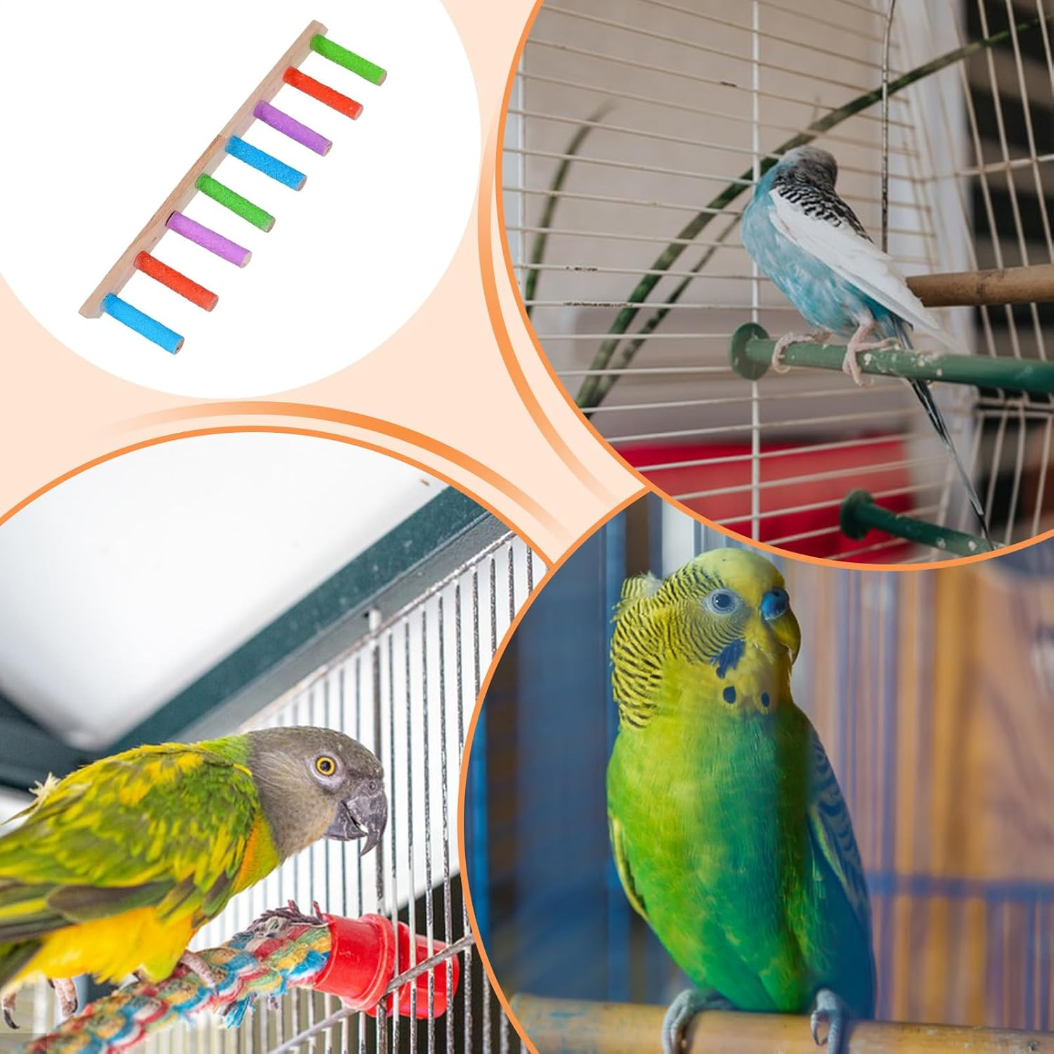 Bird Ladder - Wooden Swinging Bird Cage Ladder - Heavy Duty, Multifunctional Claw Sharpening Tools, Interactive Crate Accessories for Parakeet Conures Lovebird - Six Sections image number 5