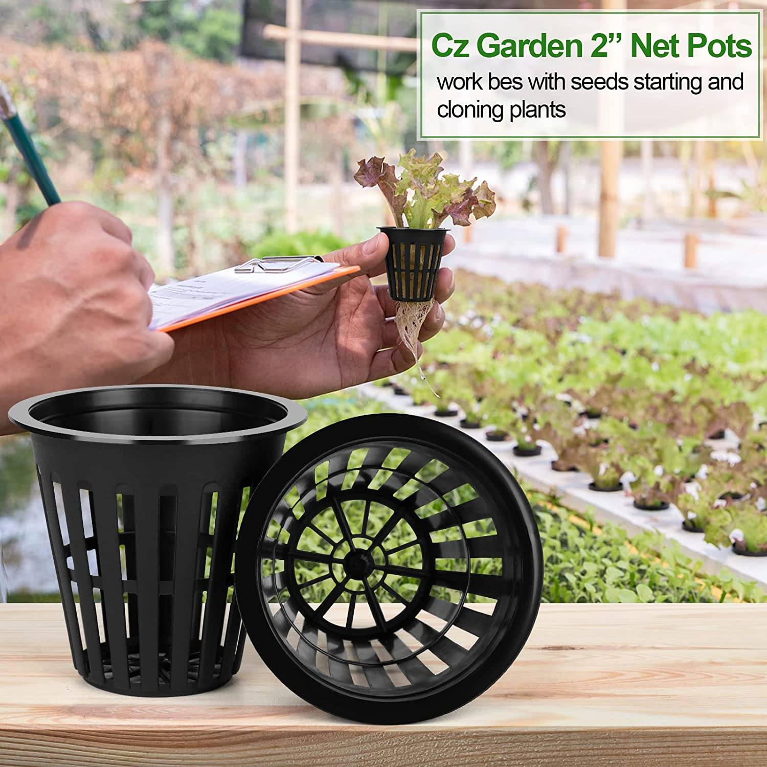 HXSEMAYIG 100PCS 2 Inch Net Pots,Hydroponics Cup, Net Cups for Indoor or Outdoor Growing image number 3