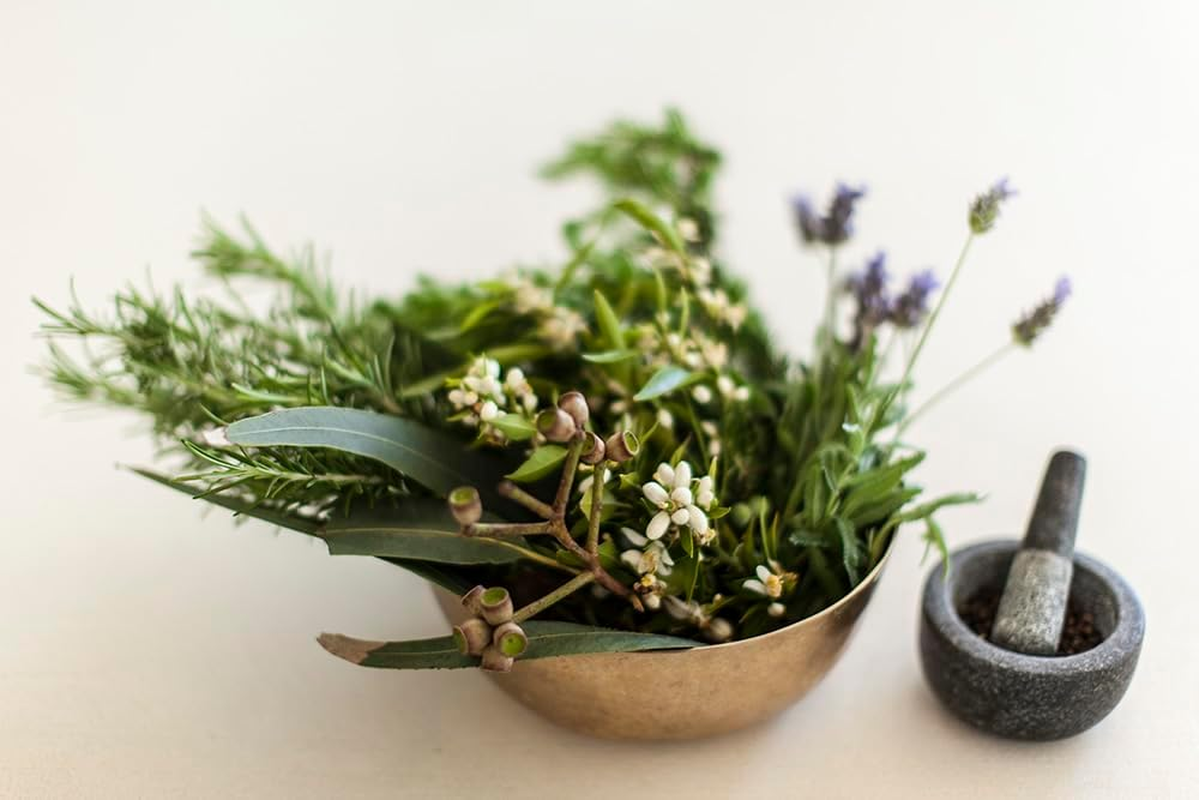 BONDI WASH Body Lotion (Sydney Peppermint & Rosemary) 500Ml/16.9Oz image number 6