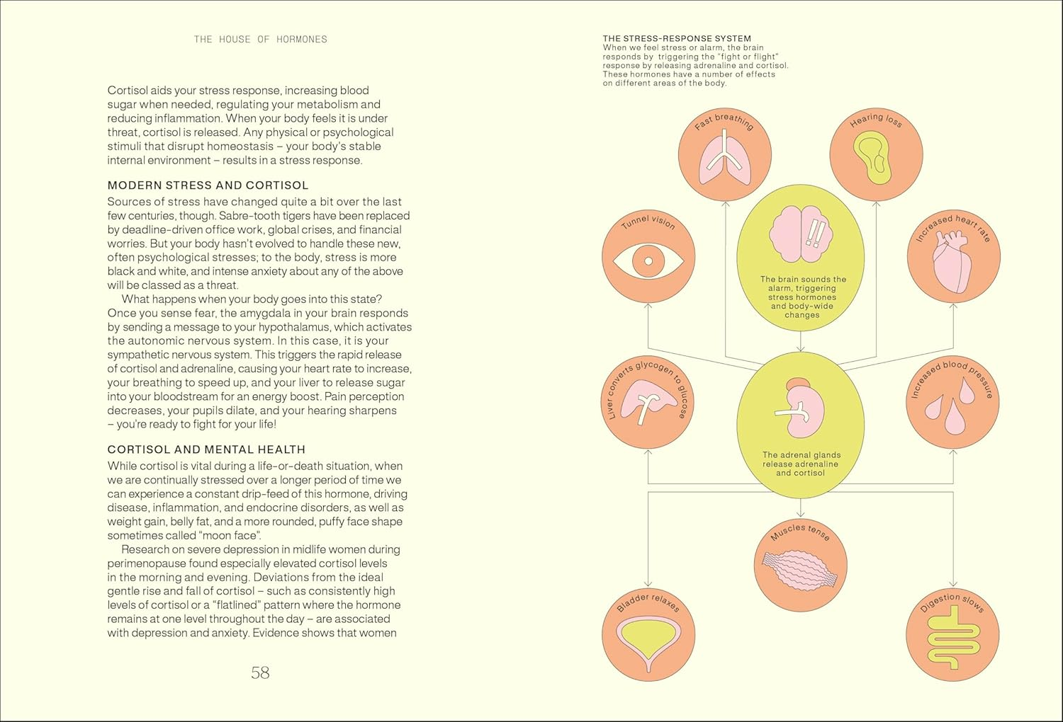 Everything I Know about Hormones: Six Steps to Optimal Health, Energy and Joy image number 5