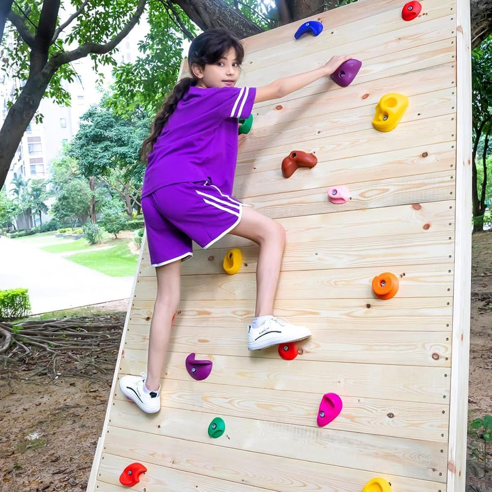 Timevrinql 20PCS Rock Climbing Holds Multi Size for Kids,Colorful Irregular Shape Climbing Wall Indoor Outdoor Playground Rides and Hardware Kit
