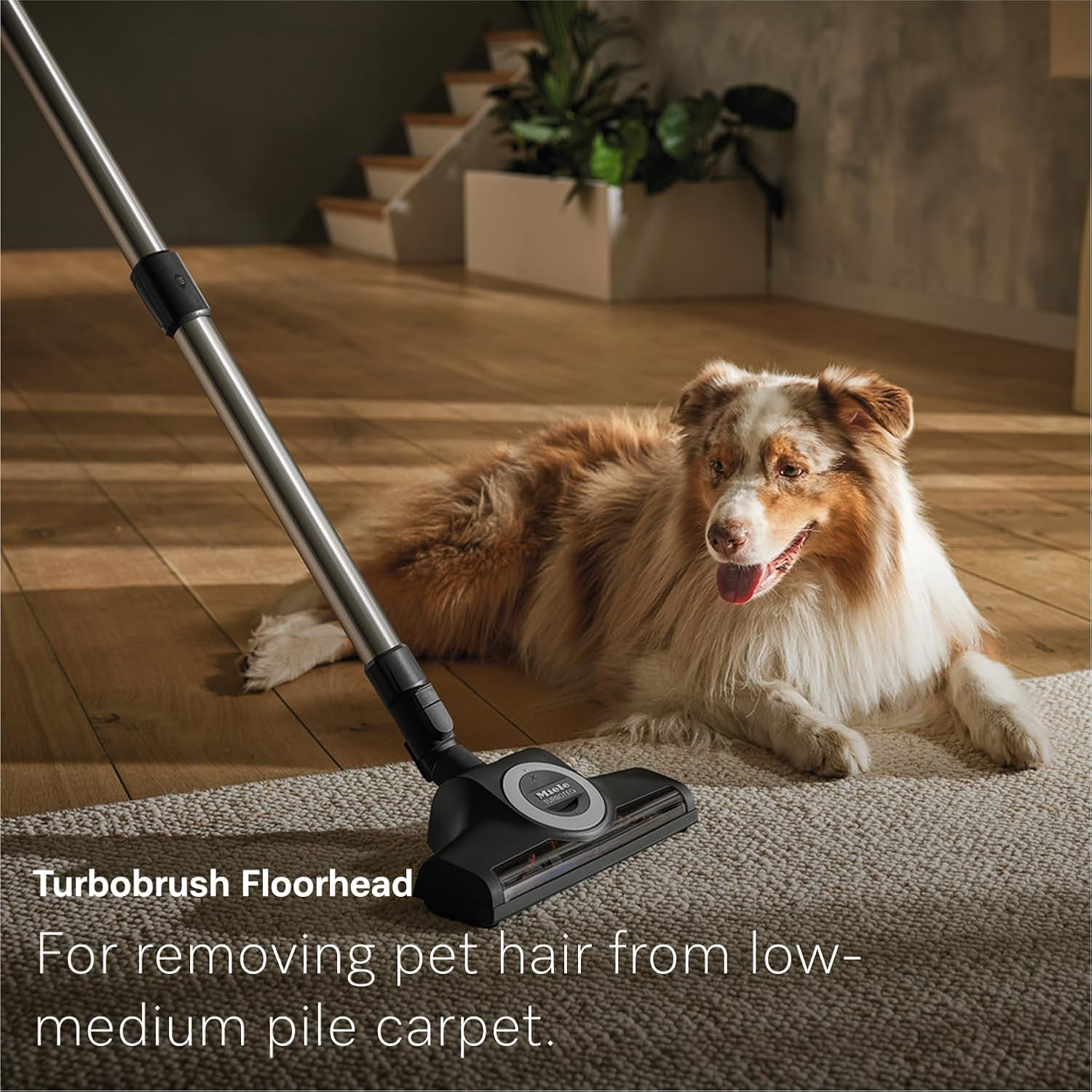 Miele Guard L1 Cat & Dog Bagged Vacuum Cleaner with Active Airclean Filter, Turboteq Floorhead, Obsidian Black image number 6