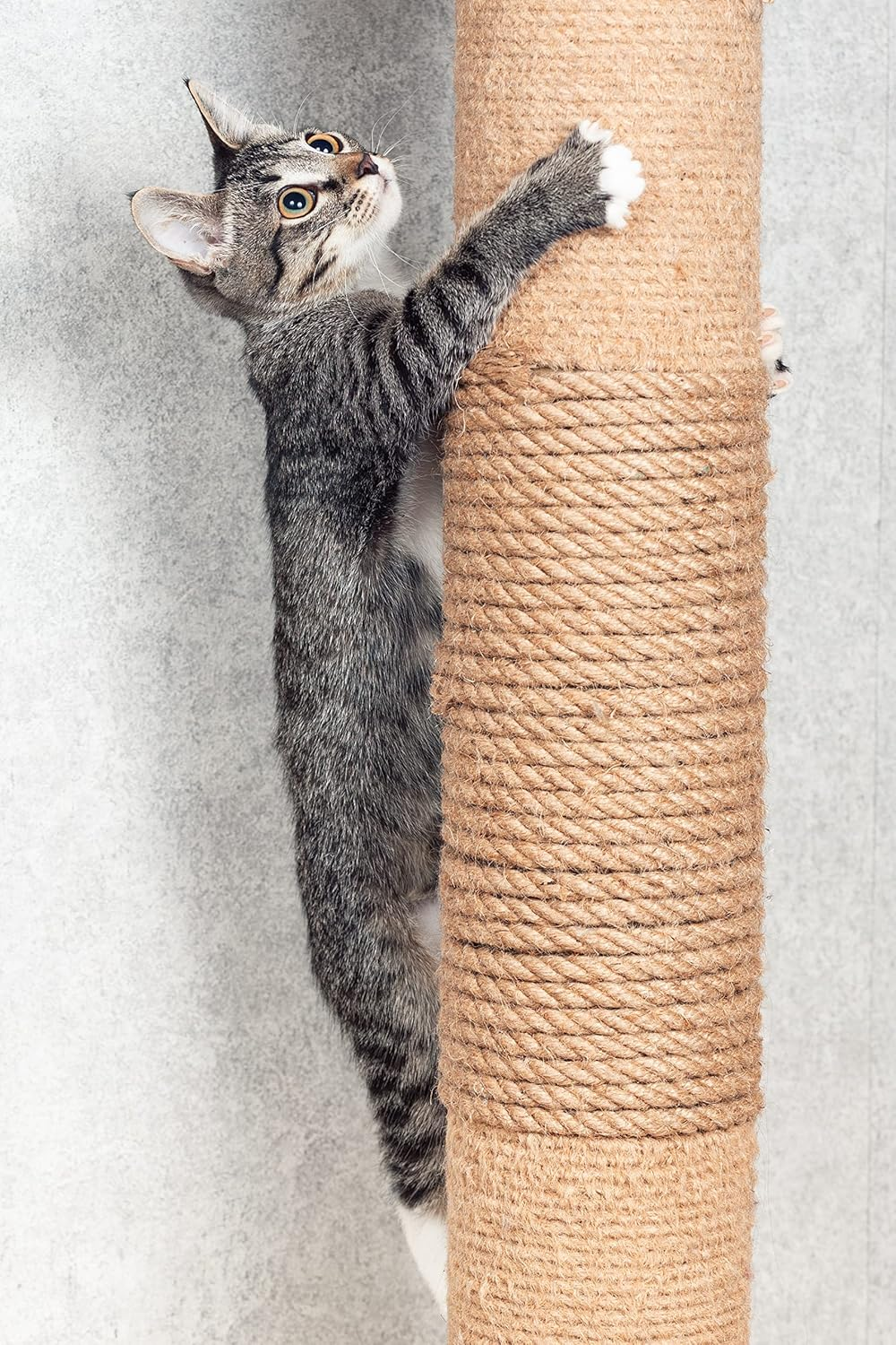 Natural Sisal Rope 8Mm&plusmn;10M Cat Tree Garden Craft Hobby image number 2