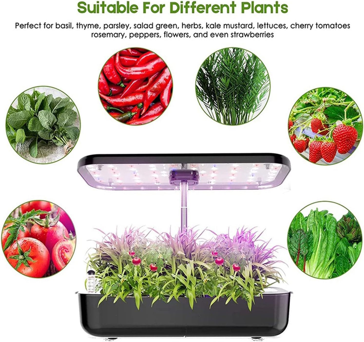 Indoor Herb Garden Hydroponics Growing System with Grow Lights,Indoor Gardening System for Home Kitchen, Hydroponics Supplies with Cycle Pump & Timing image number 3