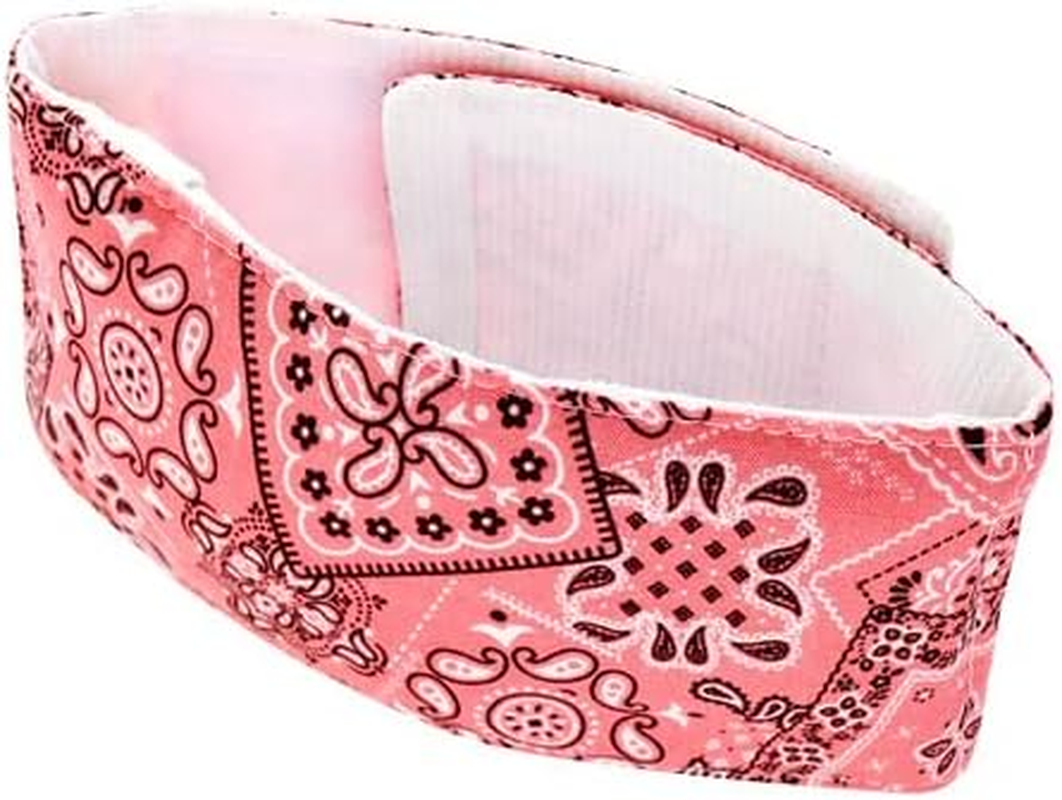 Dog and Life Cool Neck Band EX (With Soft Ice Pack), Pink, Dog, XL Size image number 1