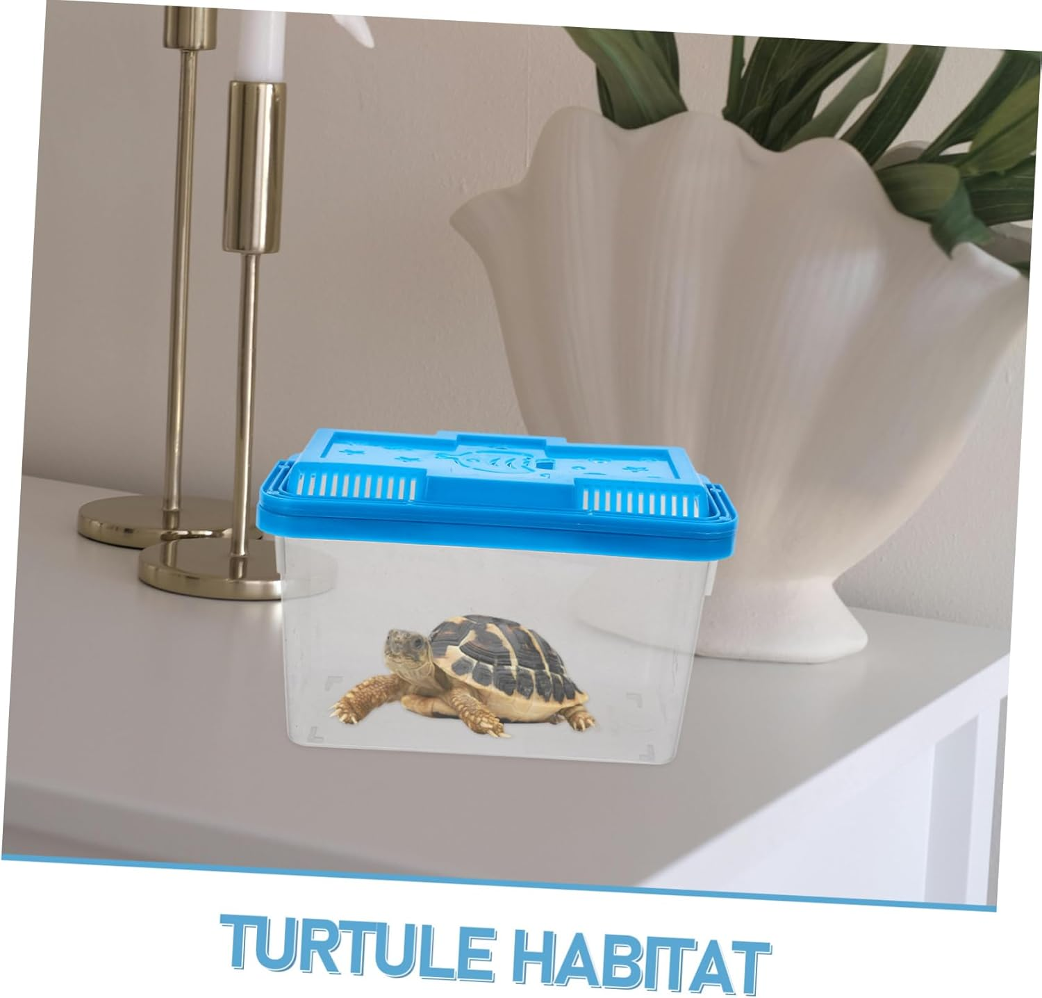 Levemolo Small Fish Tank Box Portable Design for Aquatic Pets Turtles Reptiles Home Decor image number 3