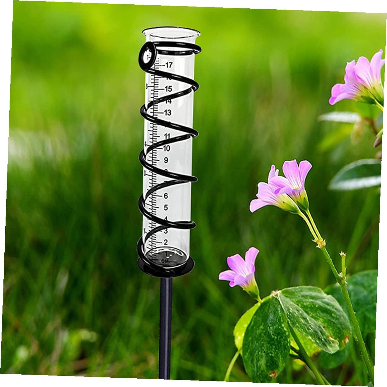 Bestonzon 4Pcs Glass Rain Gauge Tubes with Graduated Scale Outdoor Home Rain Measurer for Garden Lawn Patio Precipitation Measurement image number 5