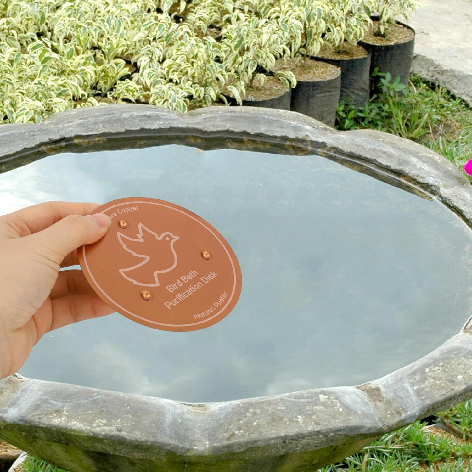 Penitue Bird Bath Copper Disk, 3.94In Sturdy Triple-Point Support Bird Bath Purification Disc Birdbath Cleaner for Year-Round Use for Outdoor Birdbaths & Bowls image number 4