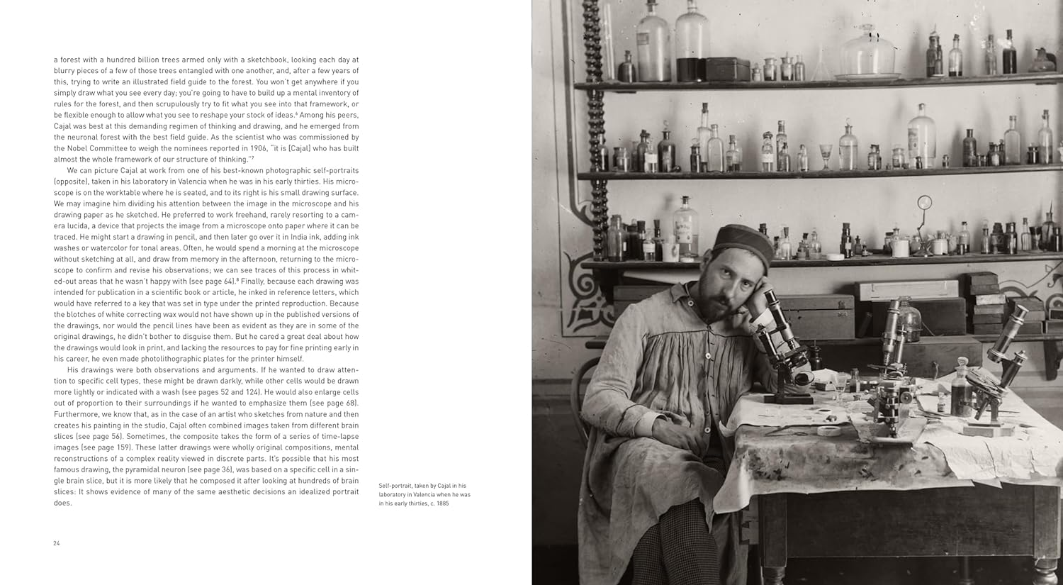 The Beautiful Brain:The Drawings of Santiago Ramon Y Cajal image number 1