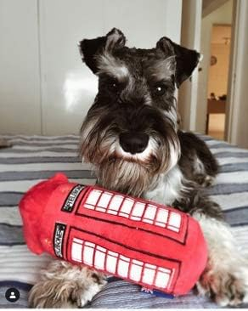 Petlondon British Red Telephone Box Plush Dog and Puppy Toy 6" with Squeaker, Cute Fun London Landmark Telebone UK Dog Interactive Toy image number 5