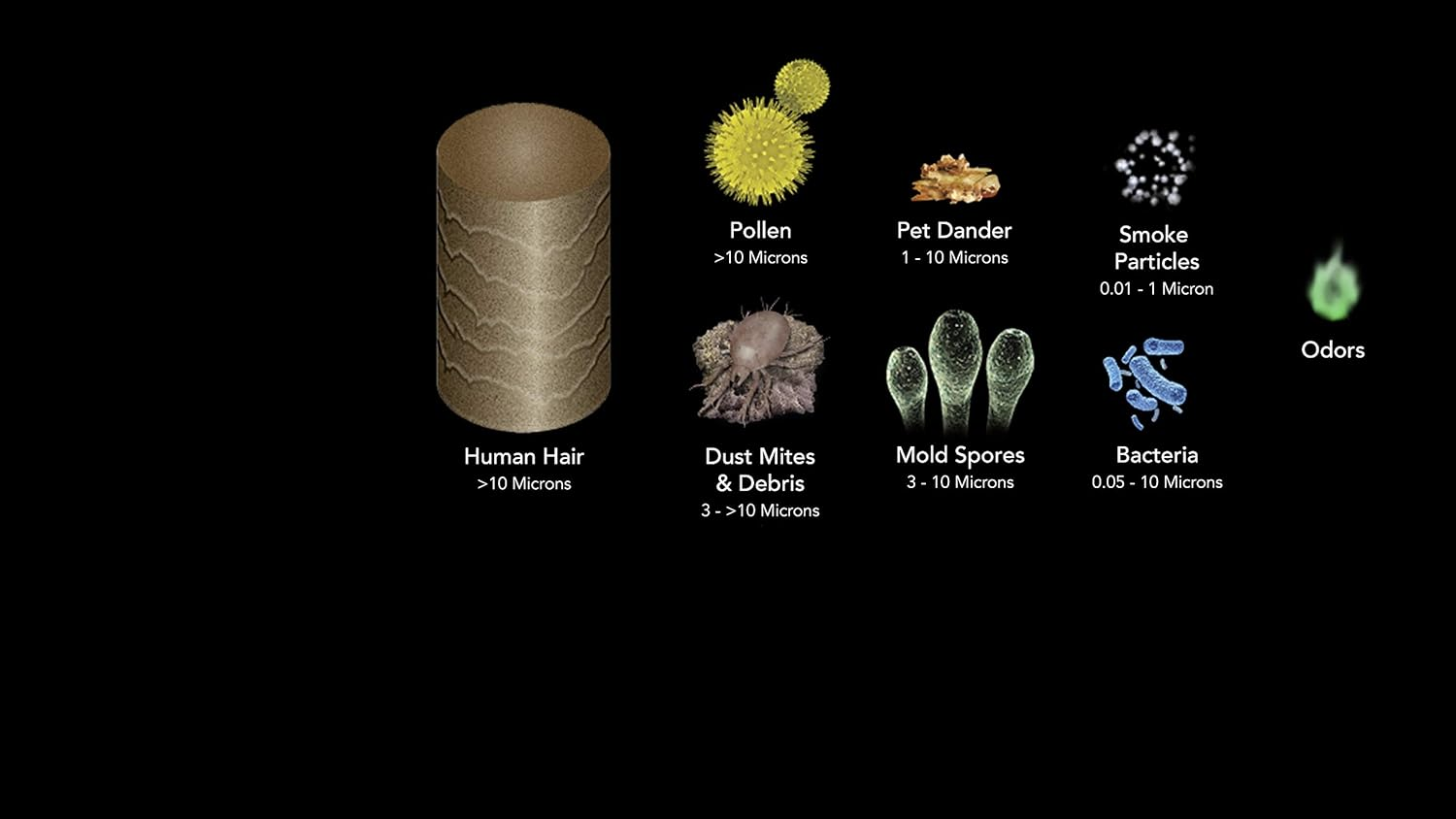 Vornado AC350 Air Purifier with True HEPA Filtration image number 4