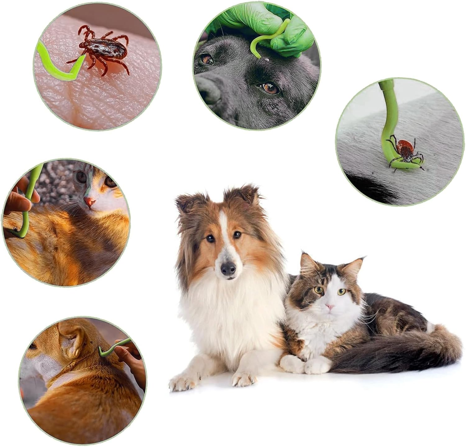 DEFIYEAR Pack of 2 Tick Cards, 3 Set Tick Tweezers for Dogs, Cats, Humans, Quick Cleaning of Ticks, Tick Card for People, Children, Dogs, Cats, with Magnifying Glass image number 1