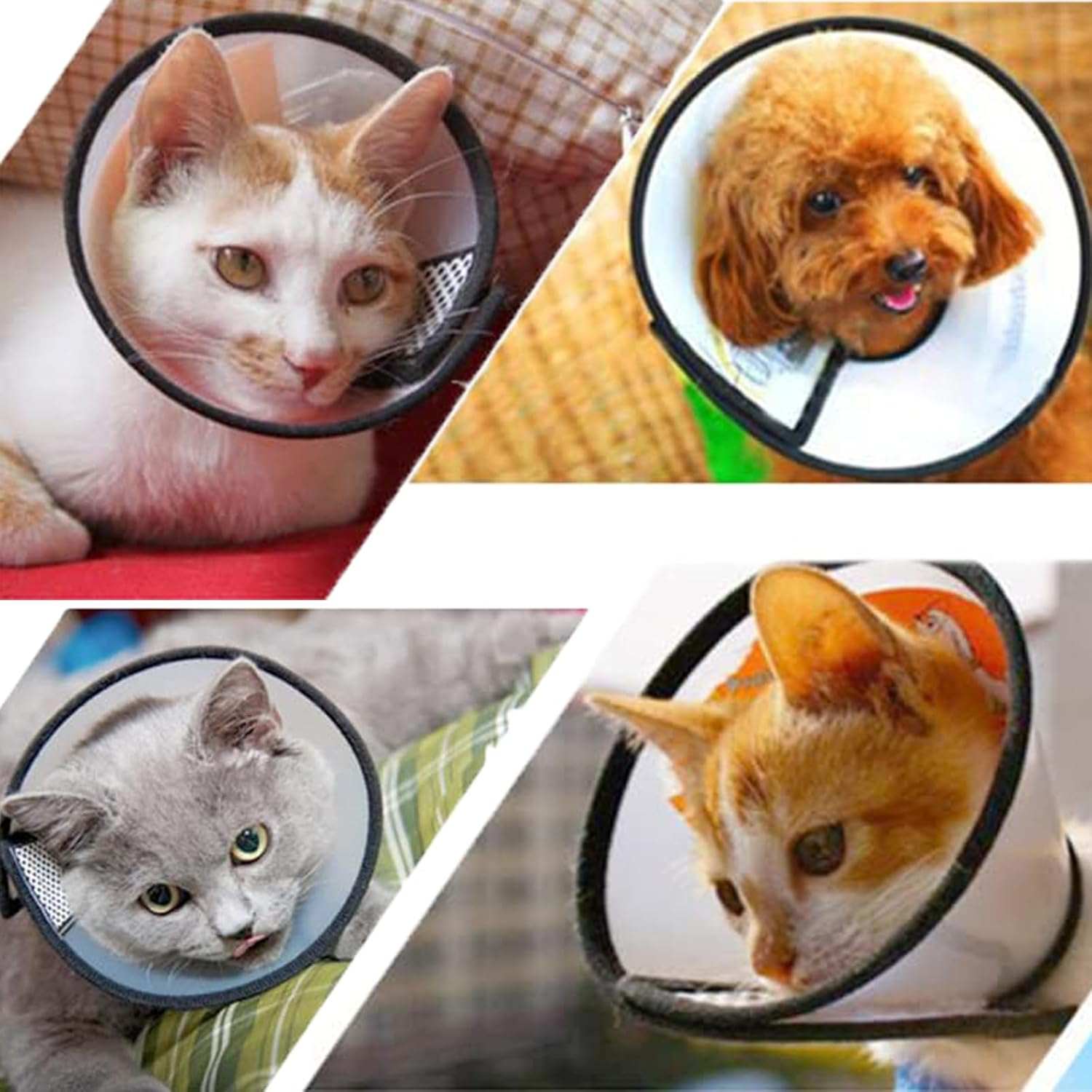 Pack of 2 Cat Collars for Dogs Pets Protective Collar Cone Collars Made of Plastic, Lightweight Elizabethan Collar, Adjustable Cone for Cats Small Dogs image number 1