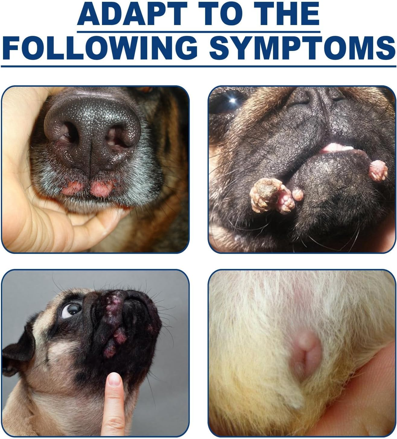 Wart Remover for Dogs,Dog Skin Tag Remover,Dog Wart Remover,Dog Wart Removal Treatment,Skin Tag Remover for Dogs,Effective Wart Removal for Dogs,Strong Warts Remover Dogs,Natural Dog Wart Removal