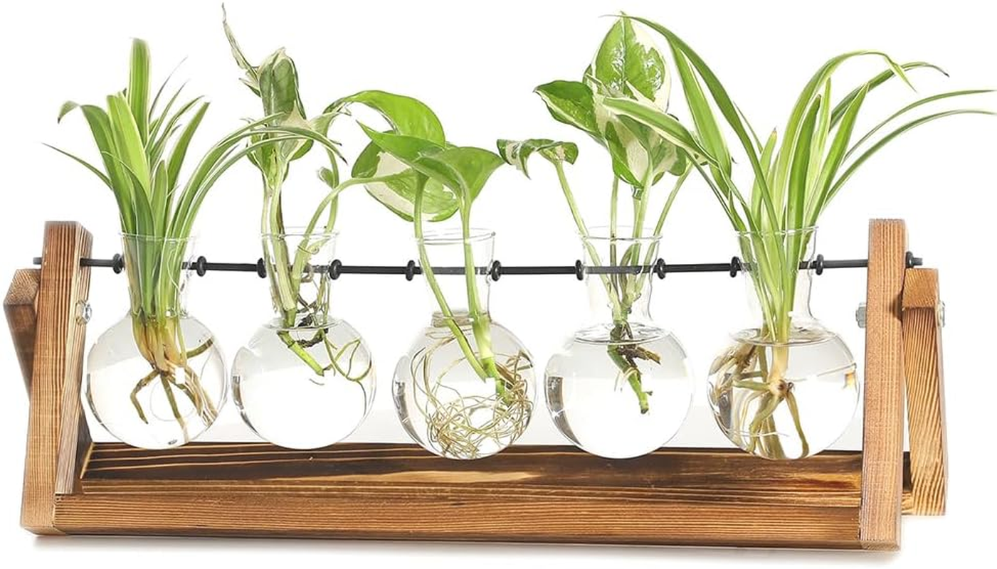 TOMVAES Creative Hydroponic Plant Stand,Glass Desktop Planter,Bulb Vase, Plant Propagation Station, for Hydroponics Plants Office Hotel Garden Home Decor,5 Hyacinth Vase image number 6